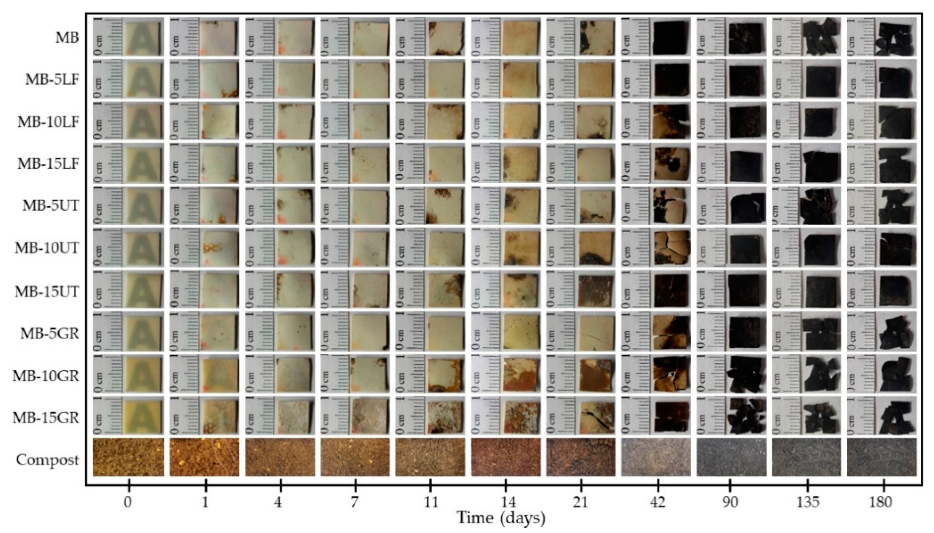 Polymers 13 01506 g008 Polymers 13 01506 g008