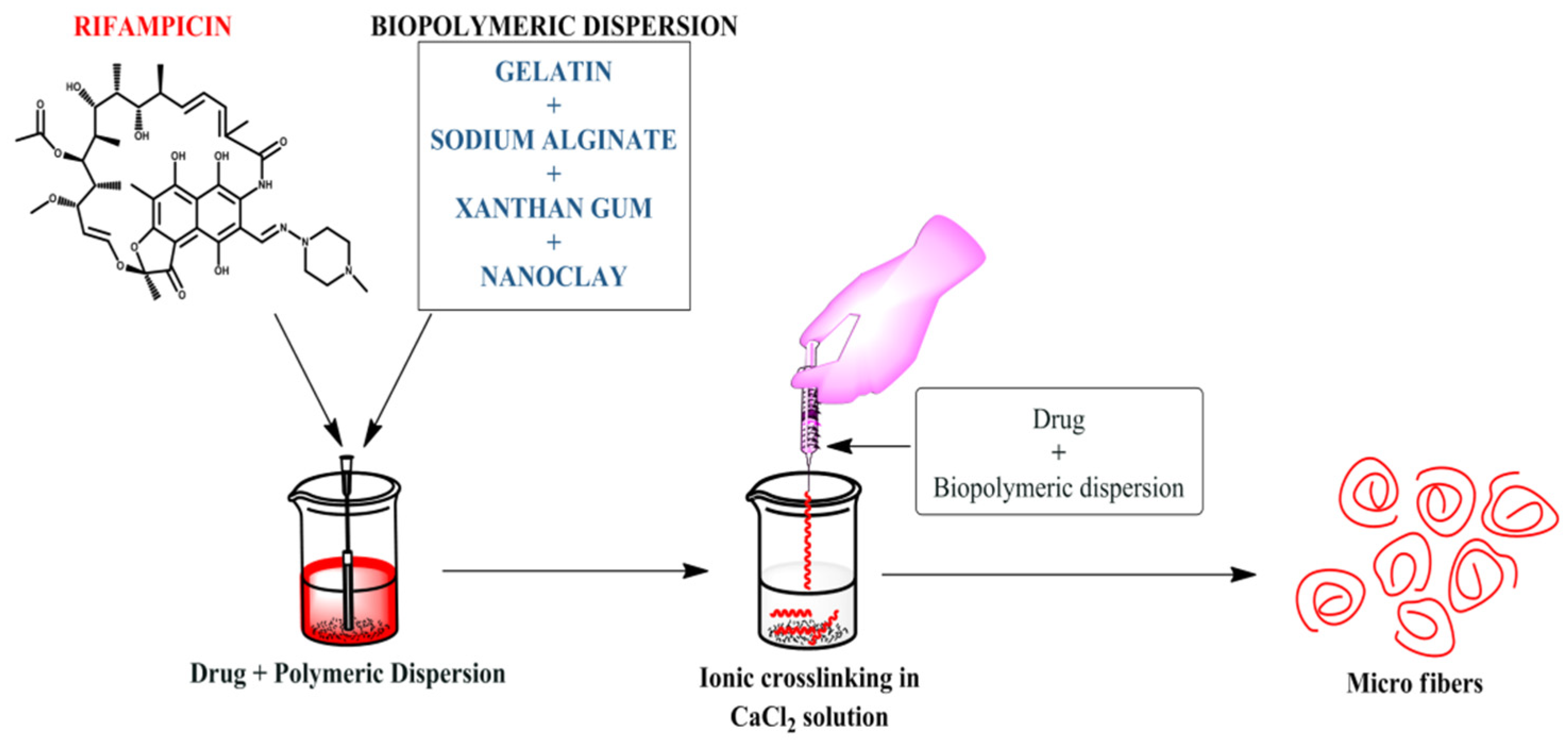 Polymers 13 01514 g001