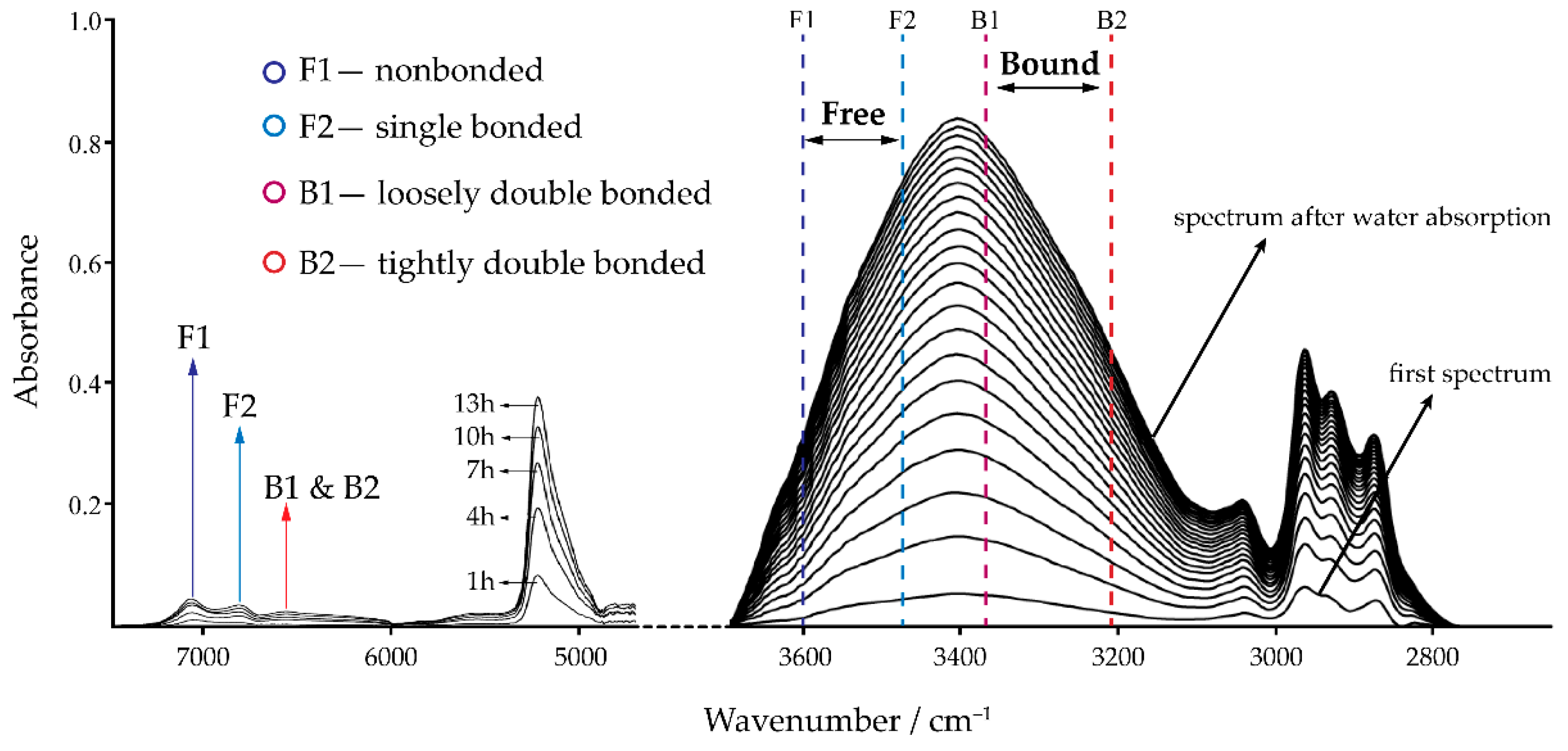 Polymers 13 01517 g002 Polymers 13 01517 g002