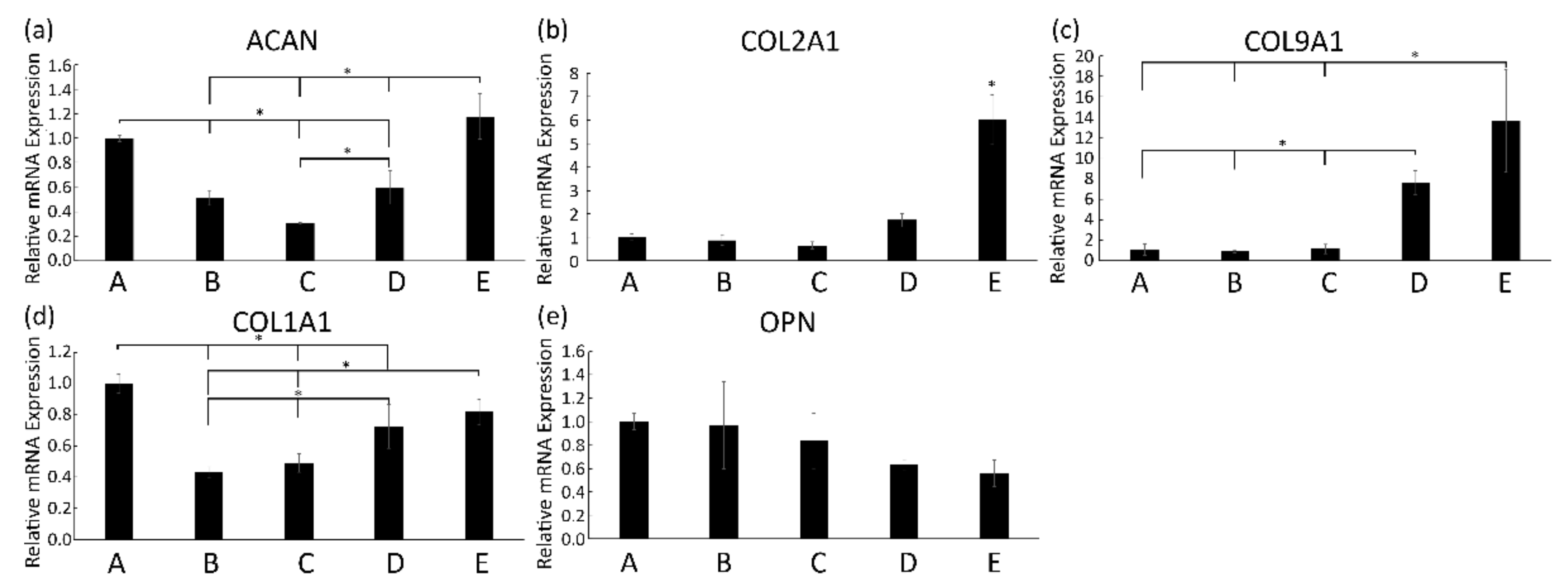 Polymers 13 01526 g005