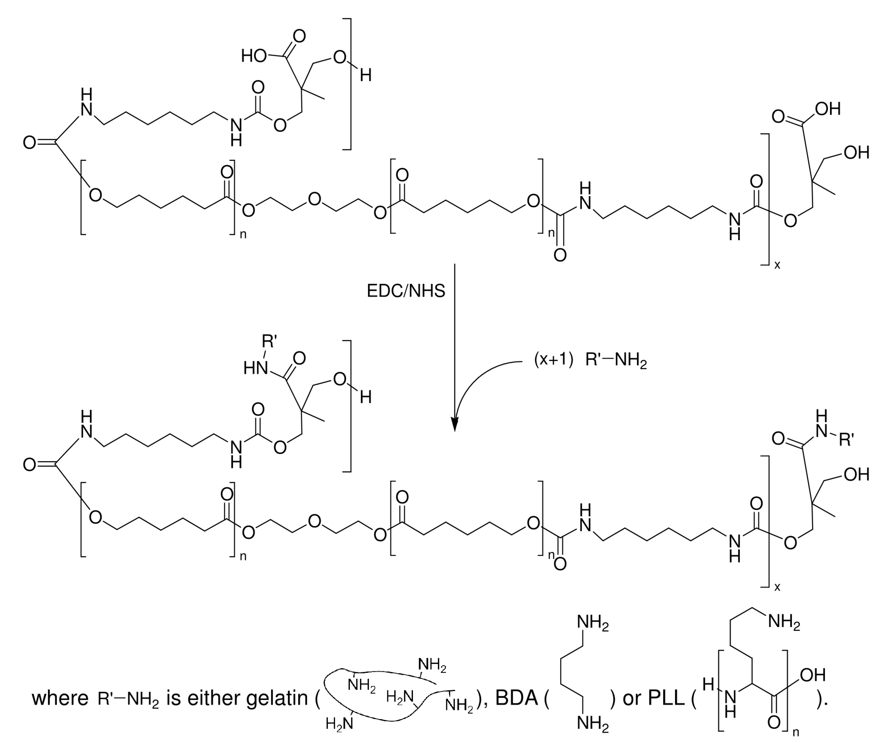 Polymers 13 01527 sch002