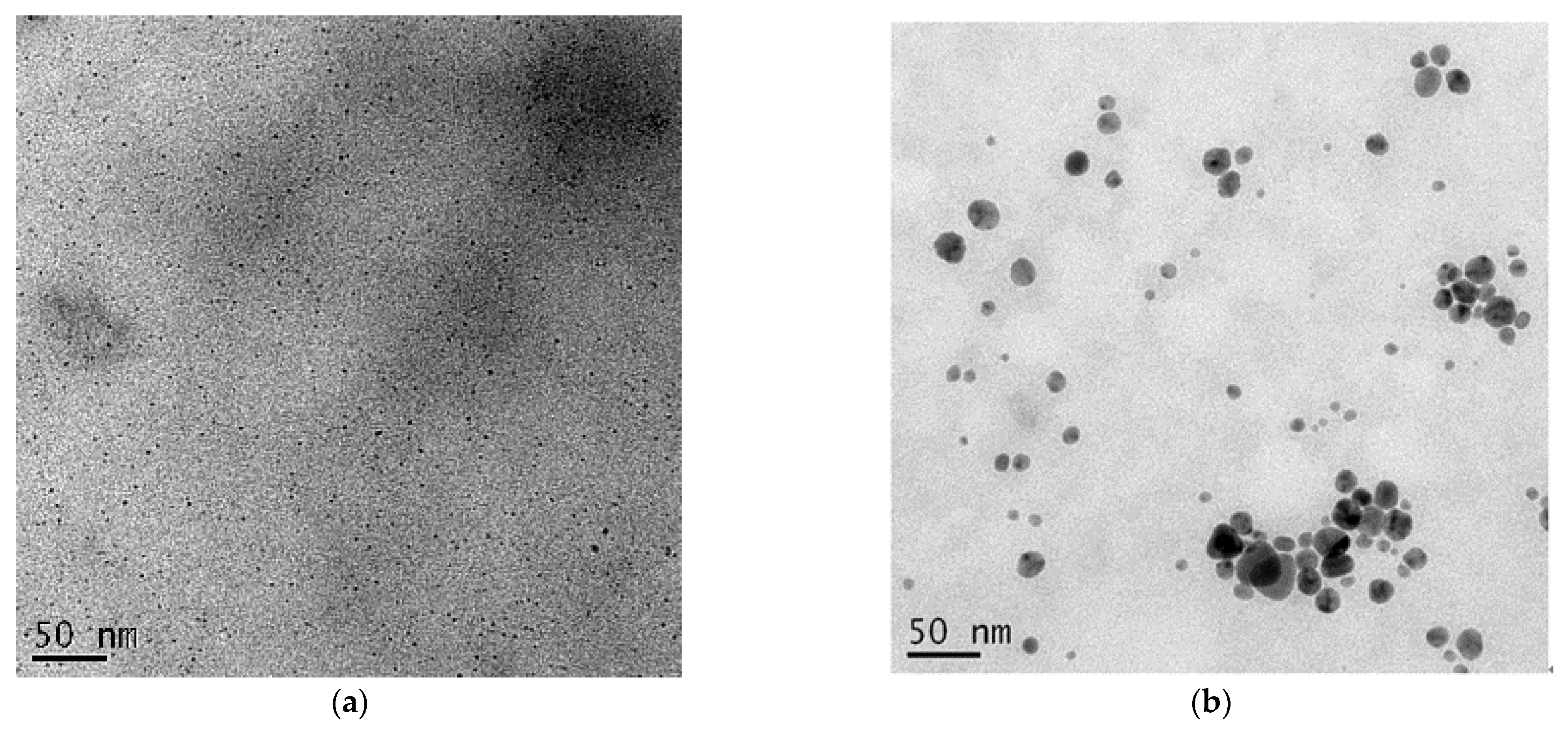 Polymers 13 01529 g002a Polymers 13 01529 g002a
