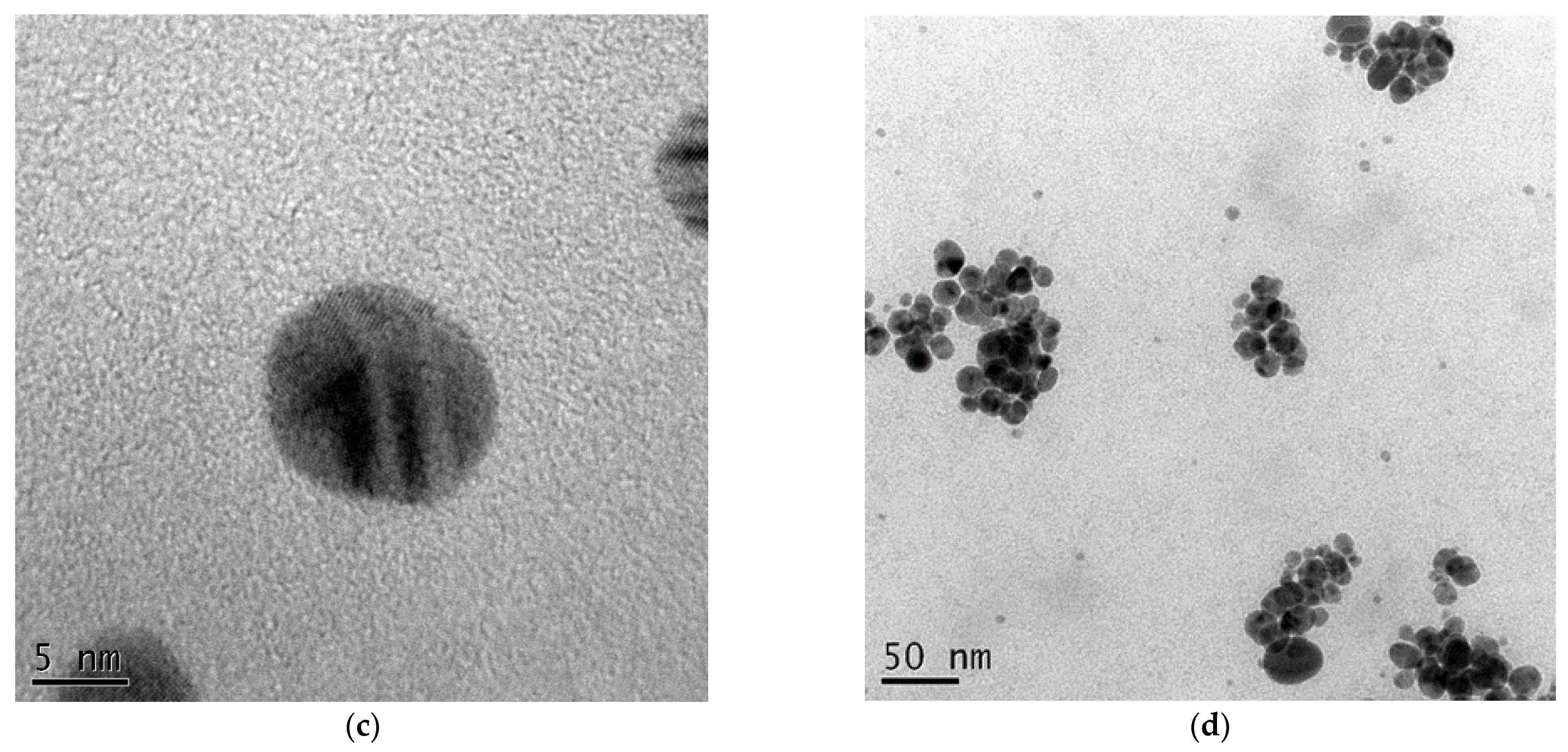 Polymers 13 01529 g002b Polymers 13 01529 g002b