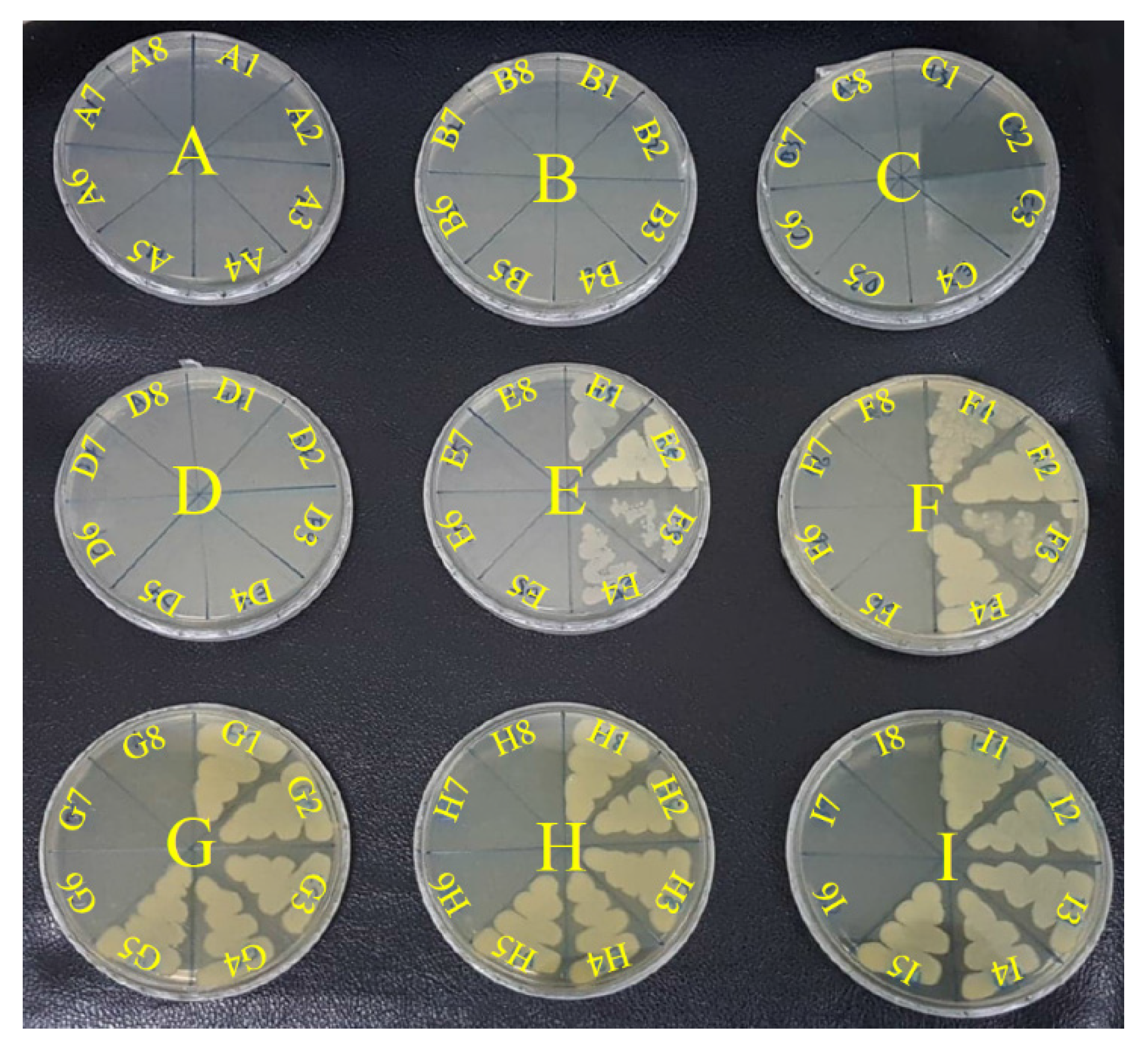 Polymers 13 01529 g005 Polymers 13 01529 g005