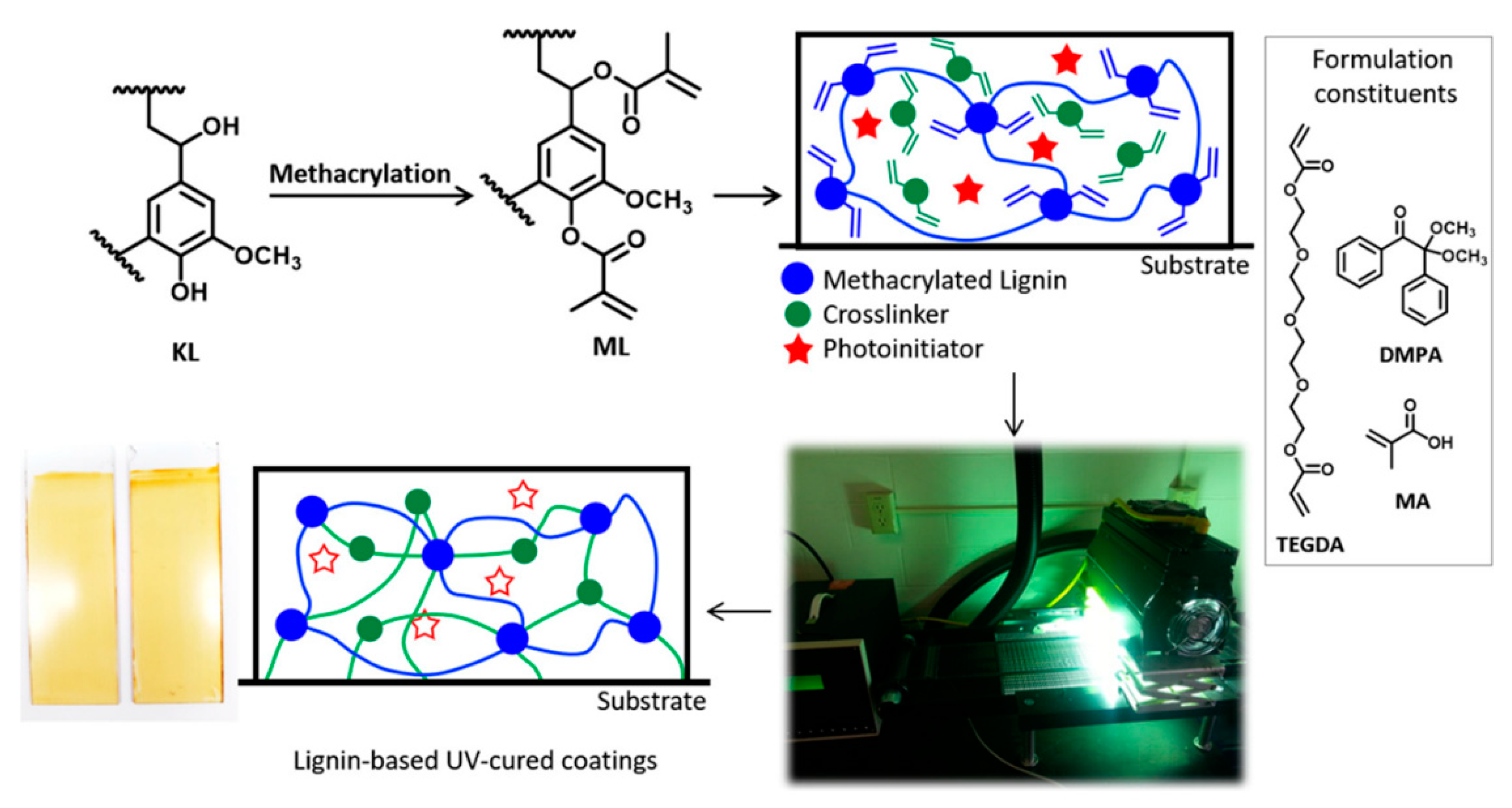 Polymers Free FullText UVCurable BioBased Polymers Derived from