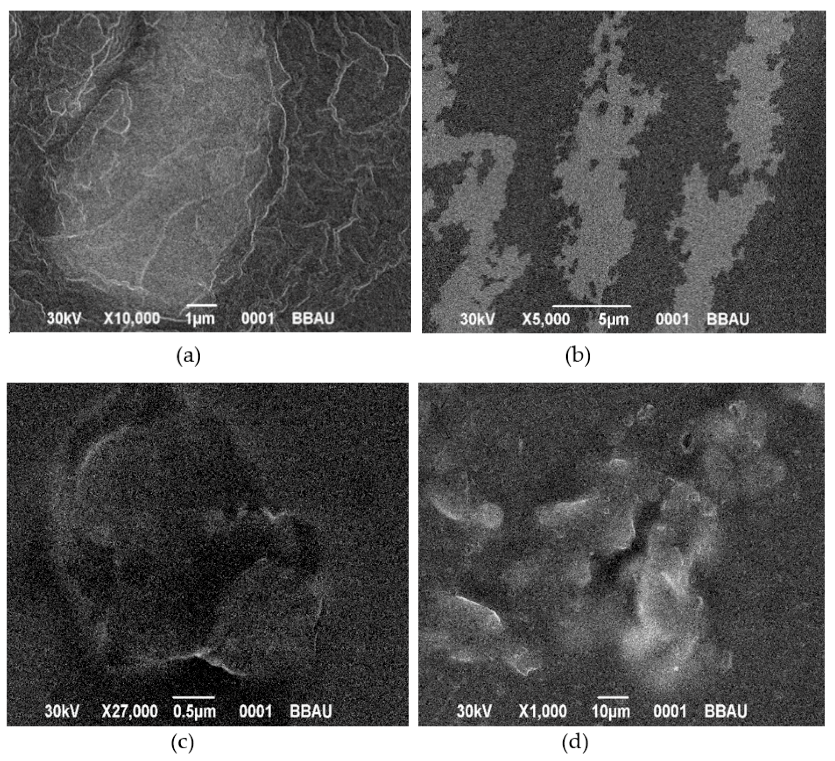 Polymers 13 01531 g013