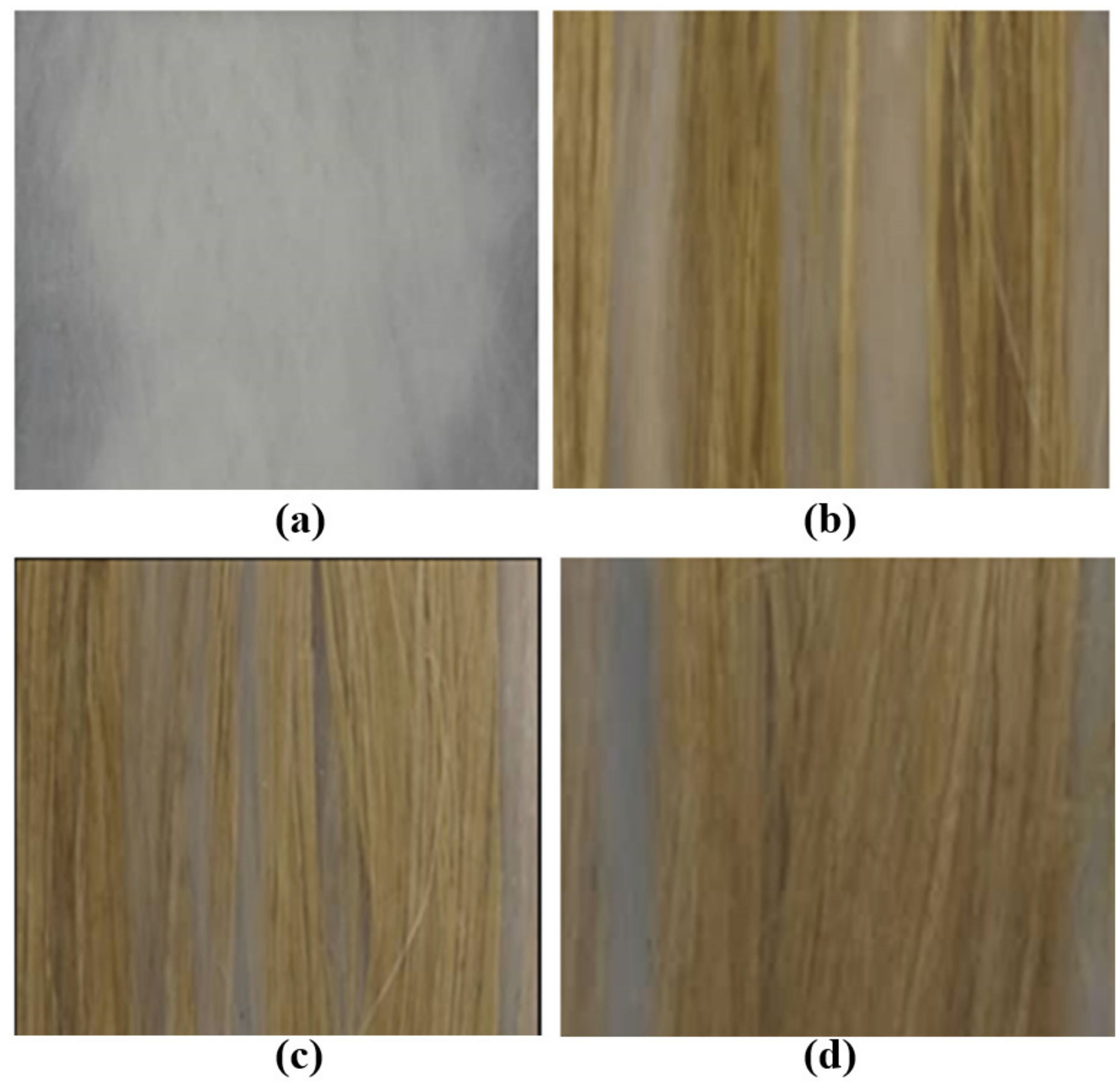 Polymers 13 01532 g003