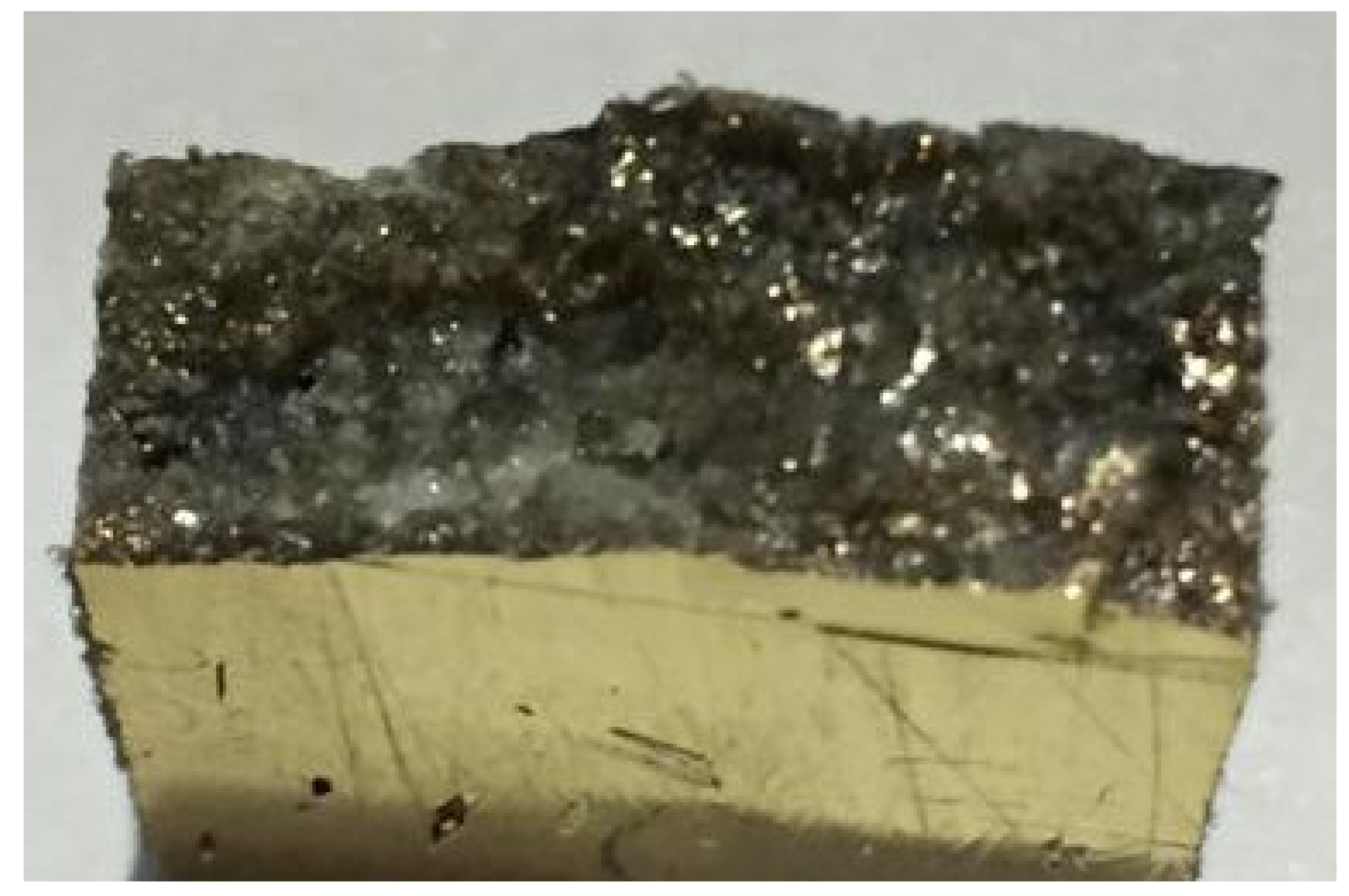 Polymers 13 01532 g004