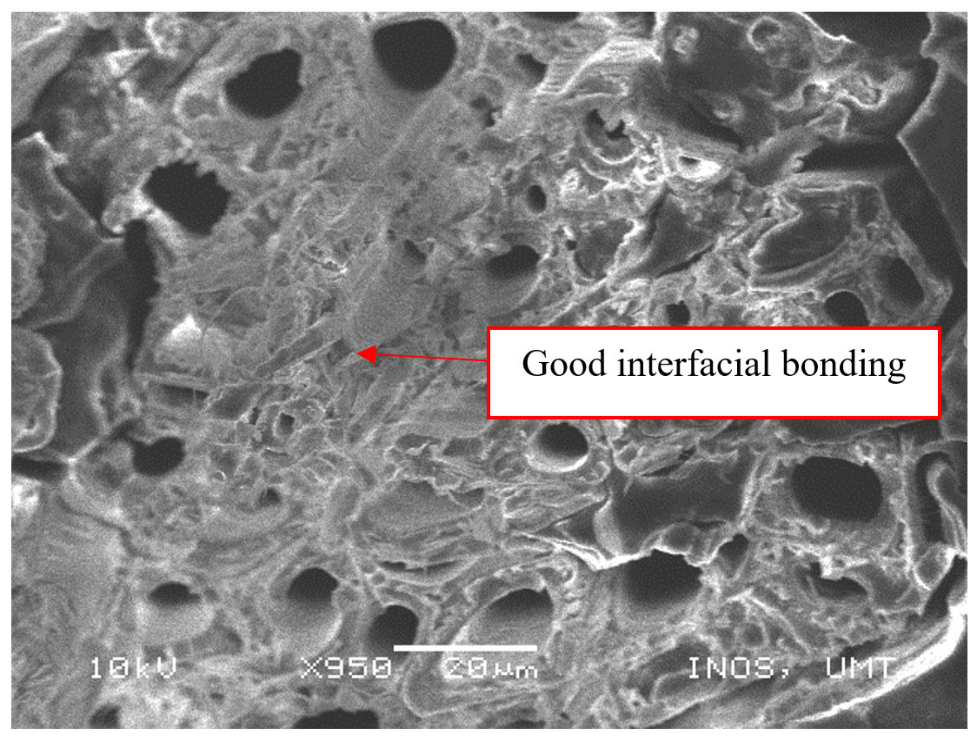 Polymers 13 01532 g010