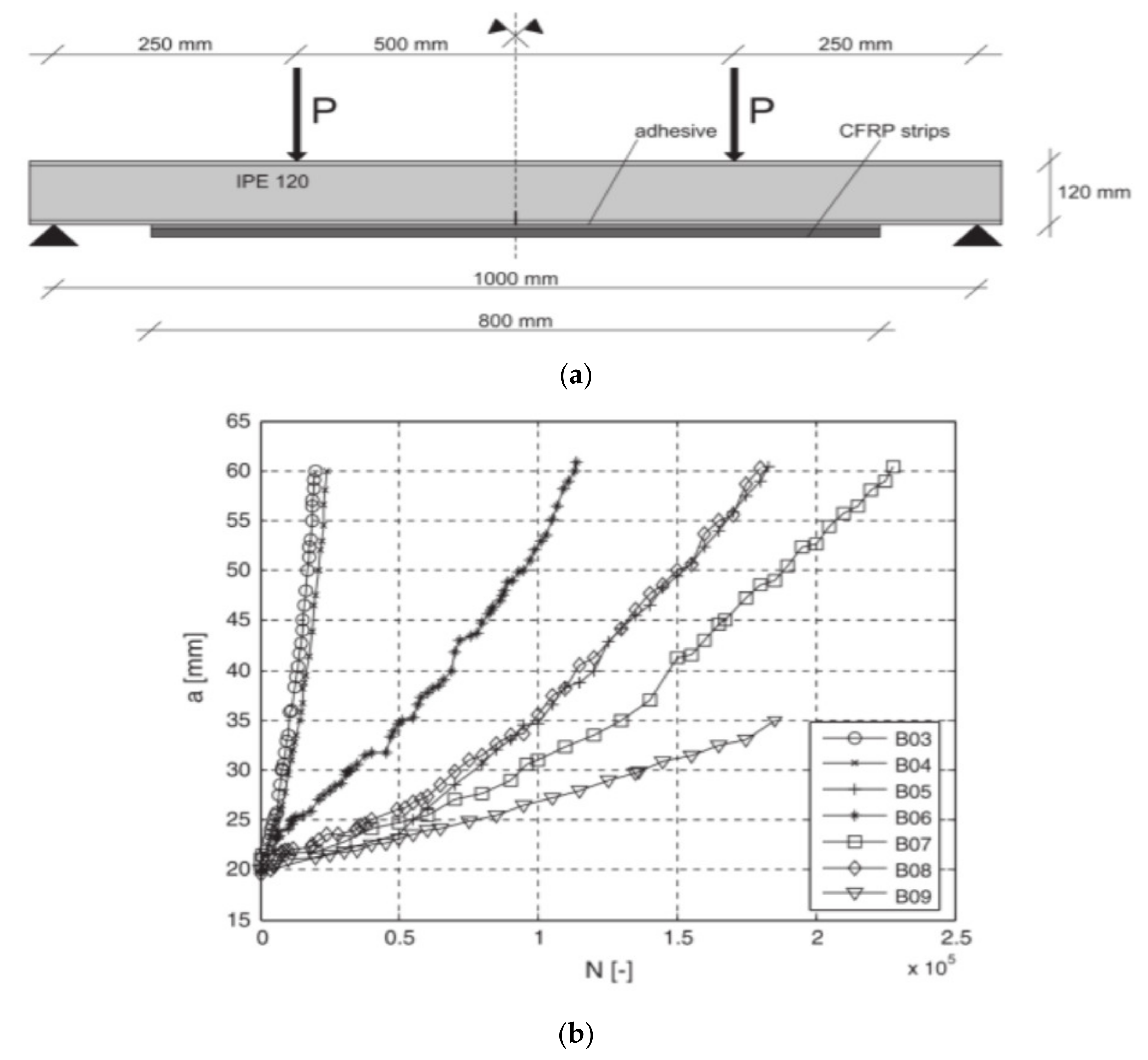 Polymers 13 01533 g013 Polymers 13 01533 g013