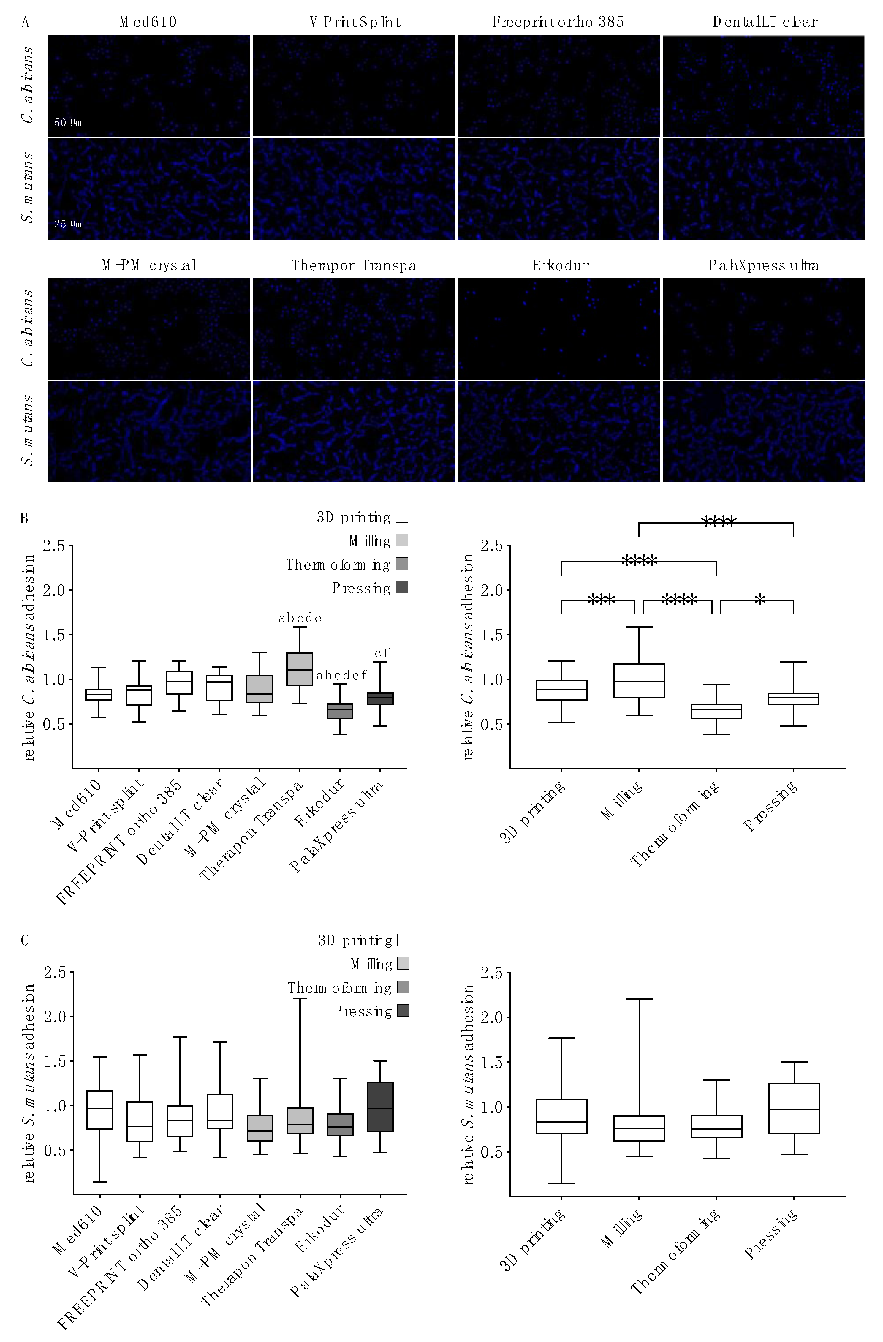 Polymers Free Full Text Influence Of The Manufacturing Method On The Adhesion Of Candida Albicans And Streptococcus Mutans To Oral Splint Resins Html Polymers Free Full Text Influence Of The Manufacturing Method On The Adhesion Of Candida Albicans And Streptococcus Mutans To Oral Splint Resins Html