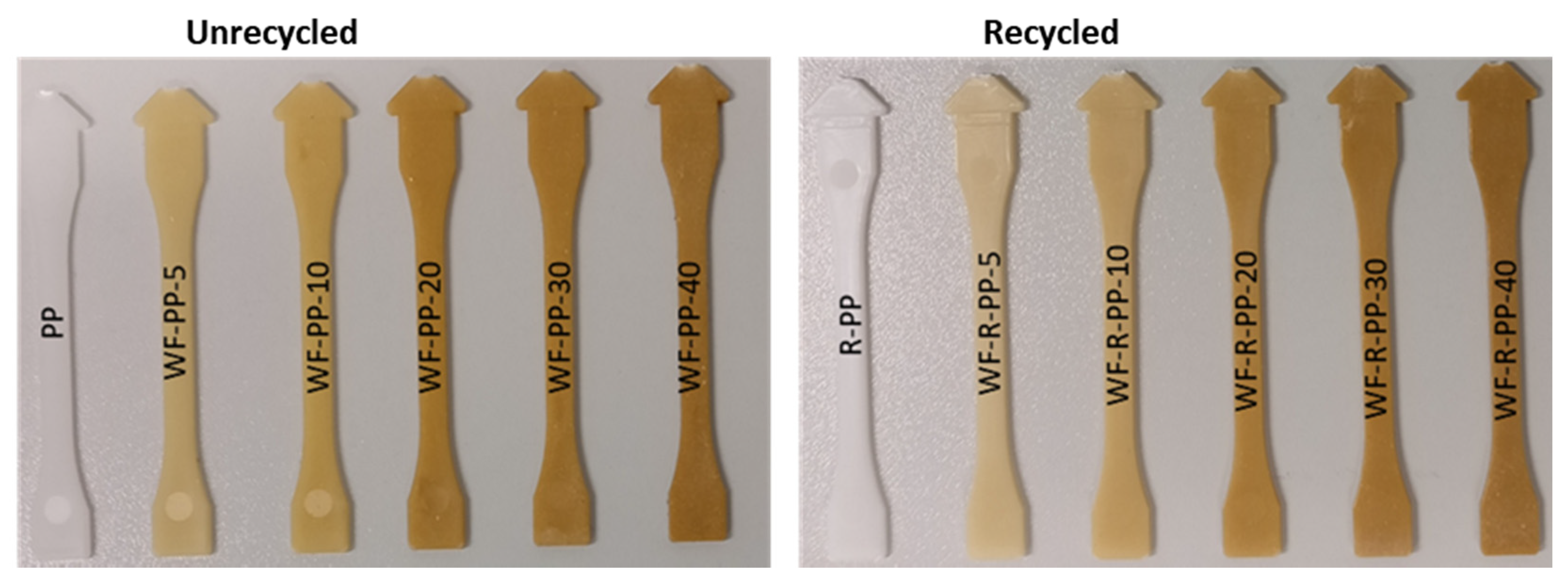 Polymers 13 01535 g001