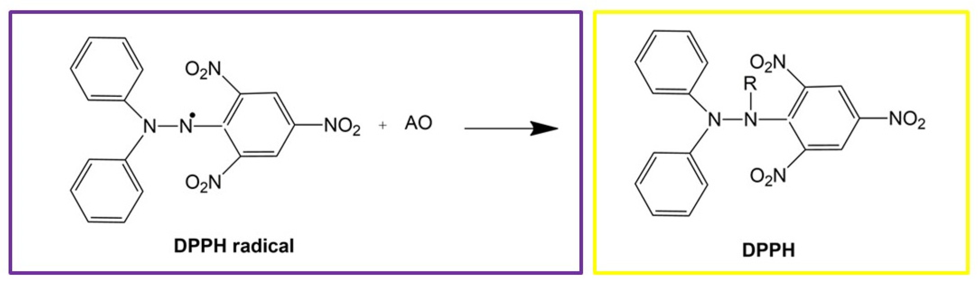 Polymers 13 01535 g003