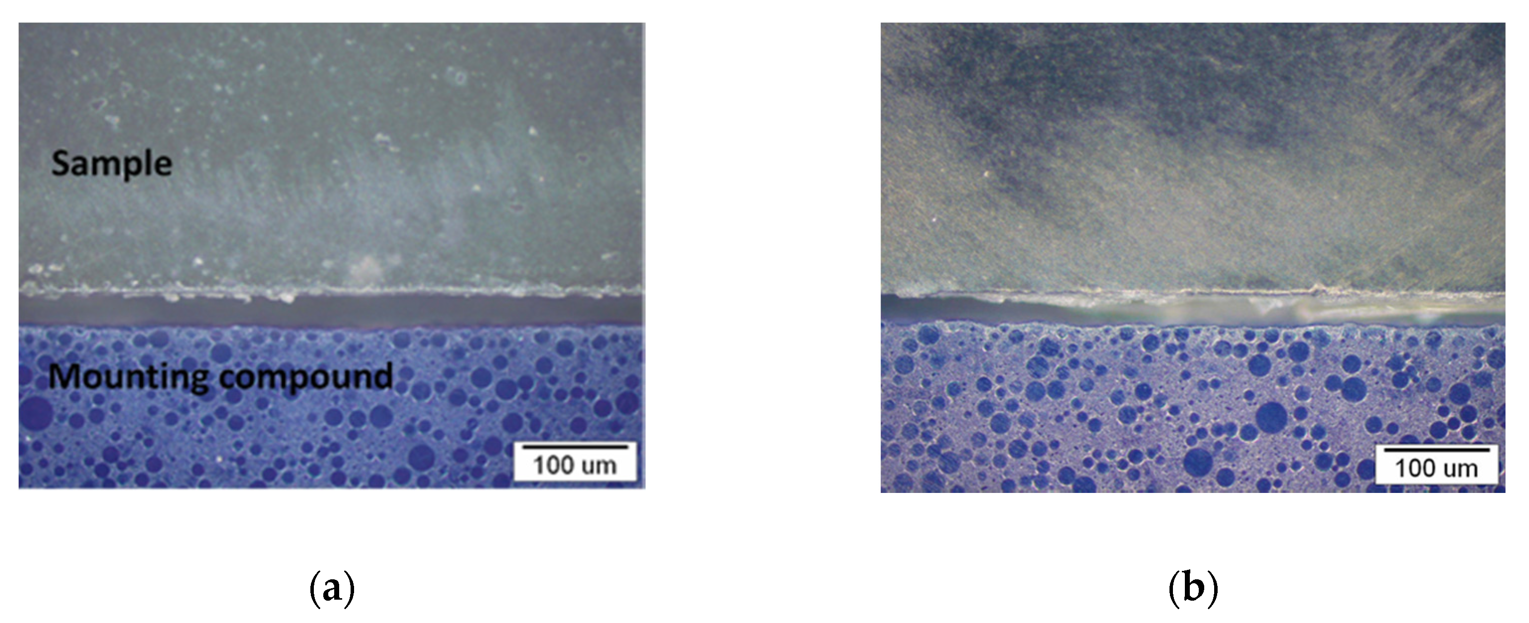Polymers 13 01535 g008