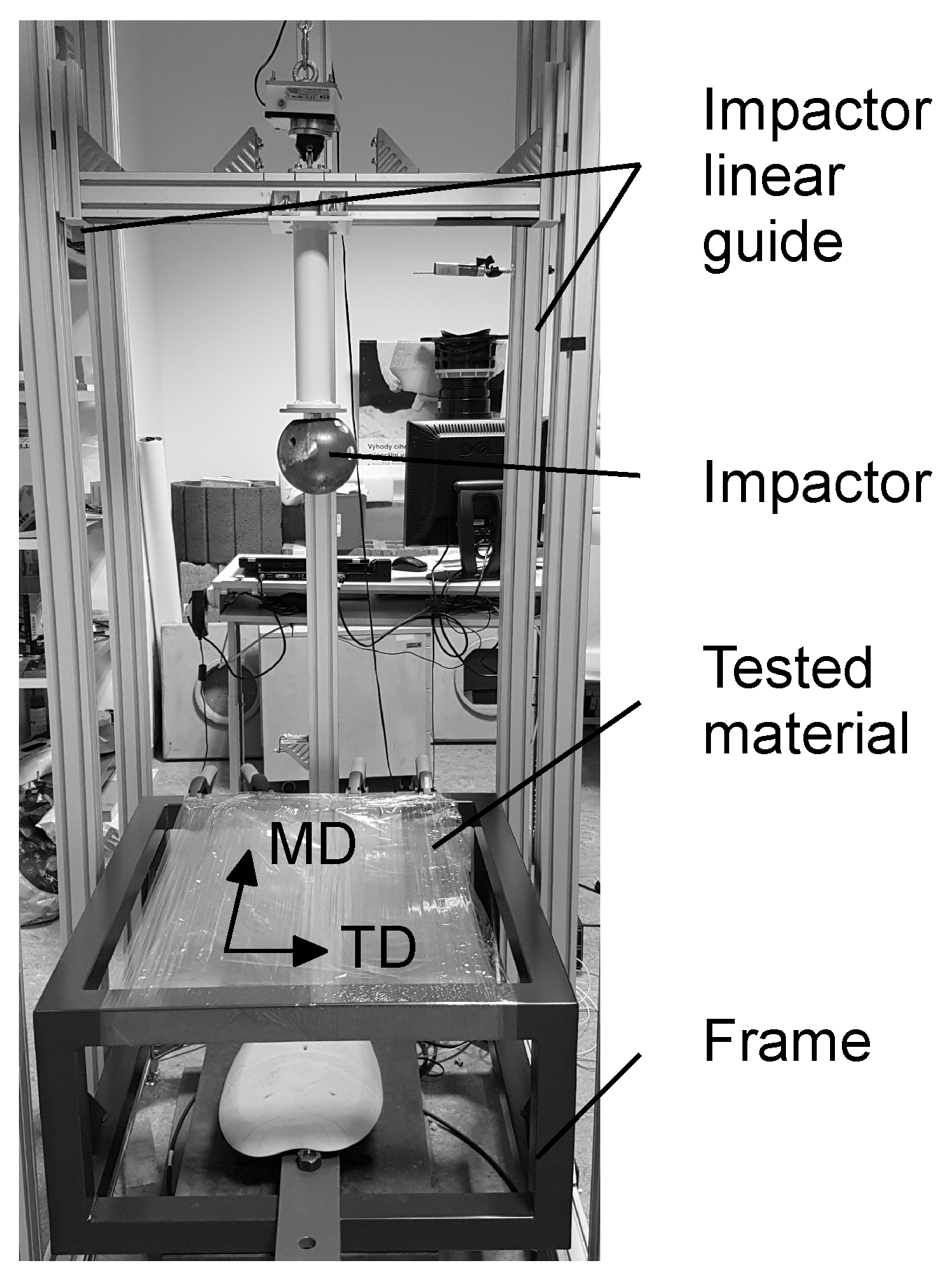 Polymers 13 01537 g008