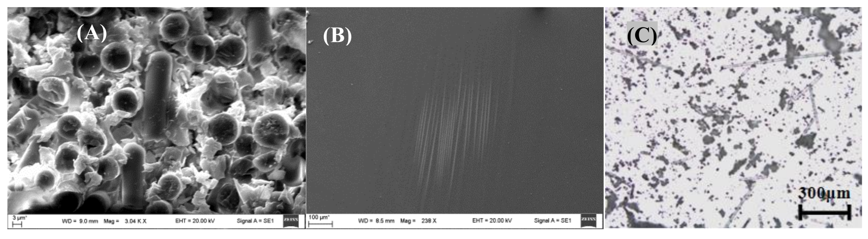 Polymers 13 01543 g002