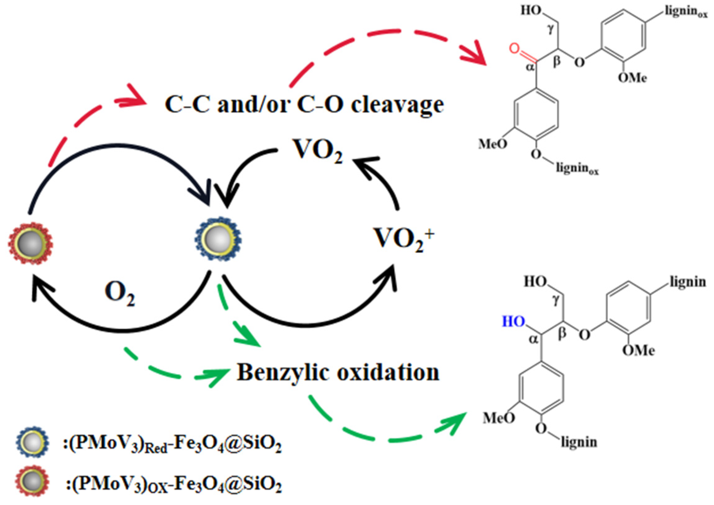 Polymers 13 01545 g006 Polymers 13 01545 g006