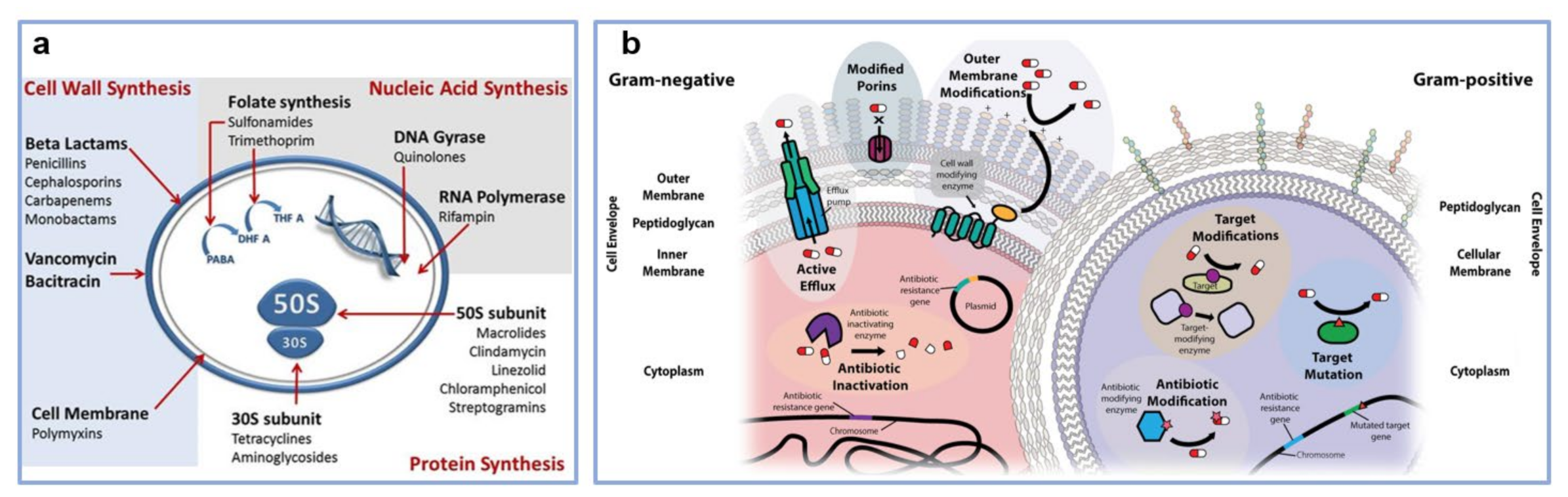 Polymers 13 01552 g001 Polymers 13 01552 g001