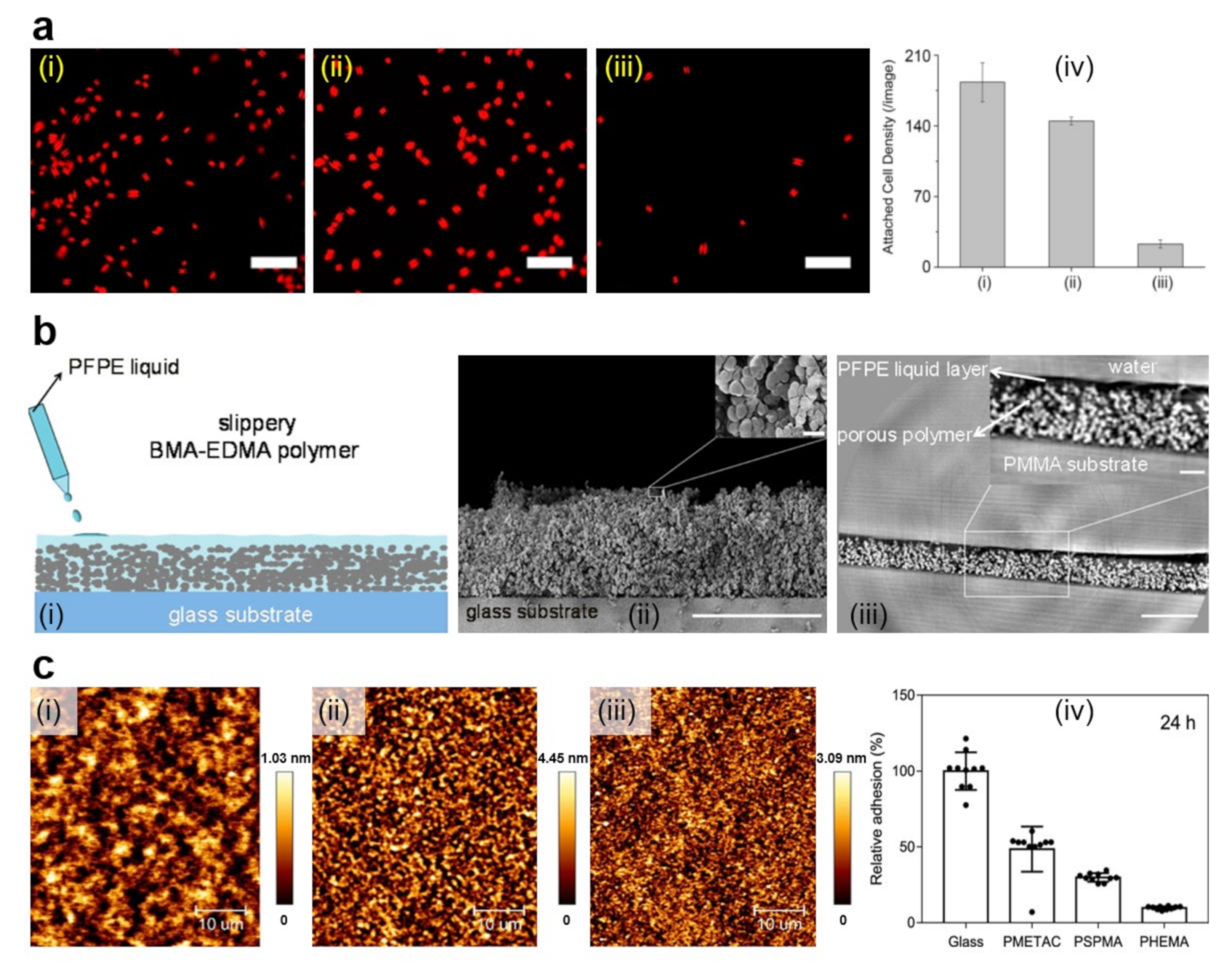 Polymers 13 01552 g004 Polymers 13 01552 g004