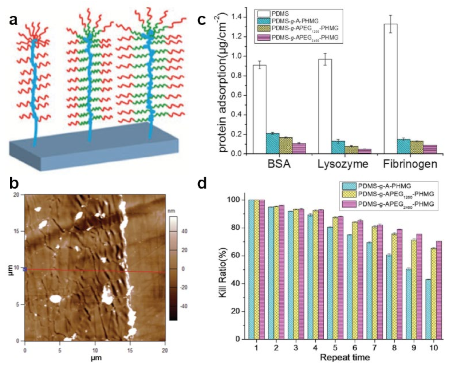 Polymers 13 01552 g007 Polymers 13 01552 g007