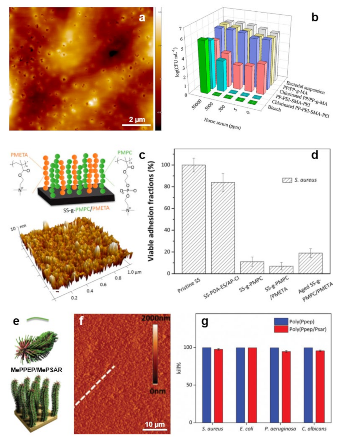 Polymers 13 01552 g008 Polymers 13 01552 g008