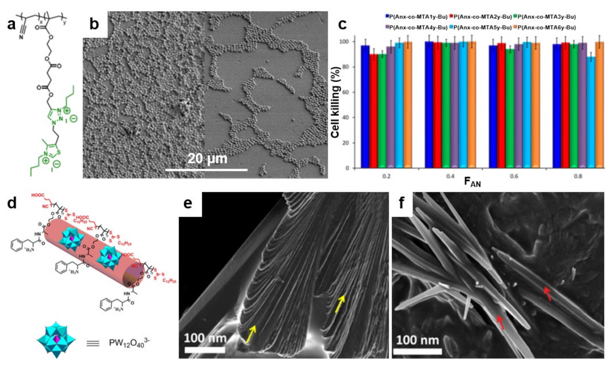 Polymers 13 01552 g009 Polymers 13 01552 g009