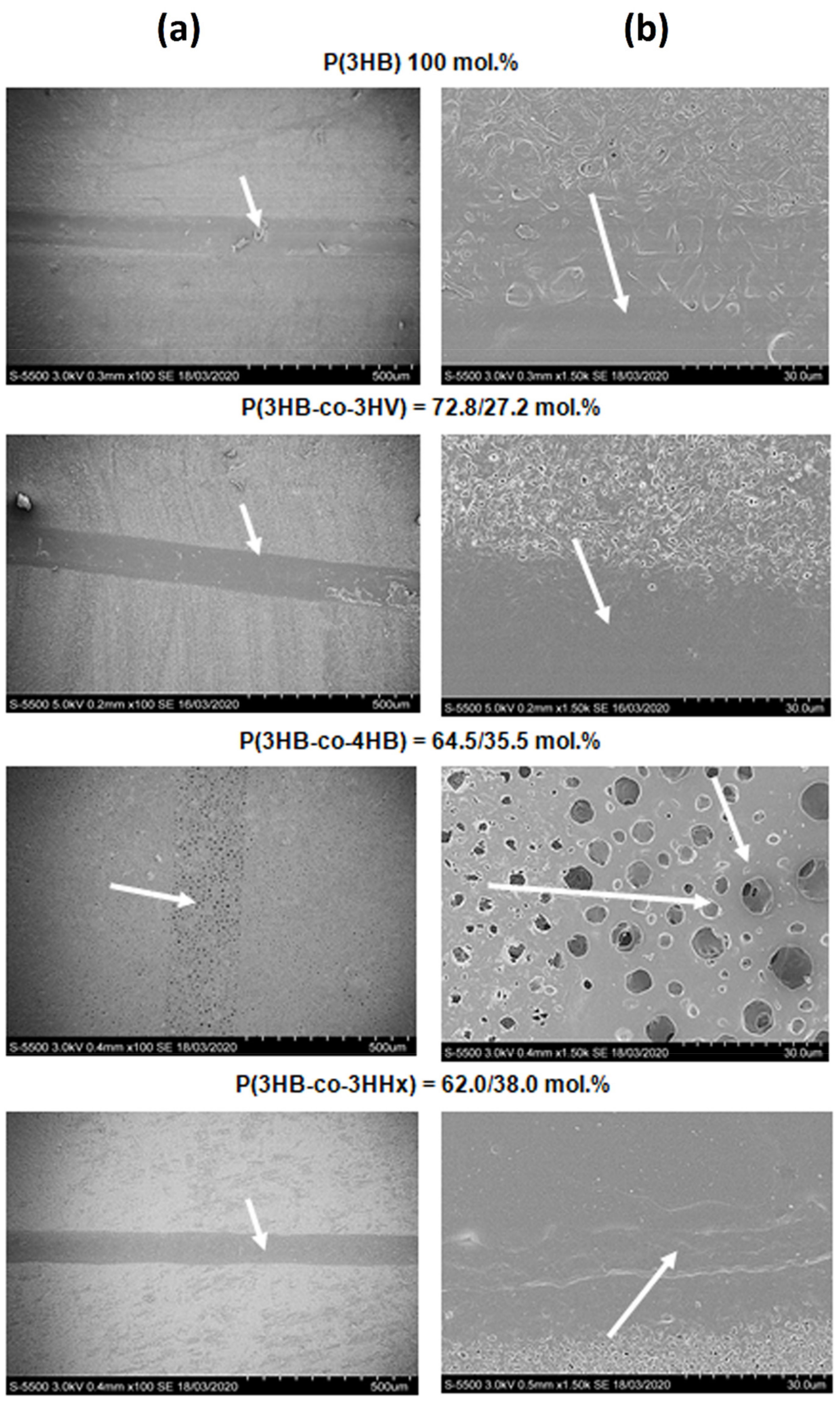 Polymers 13 01553 g002