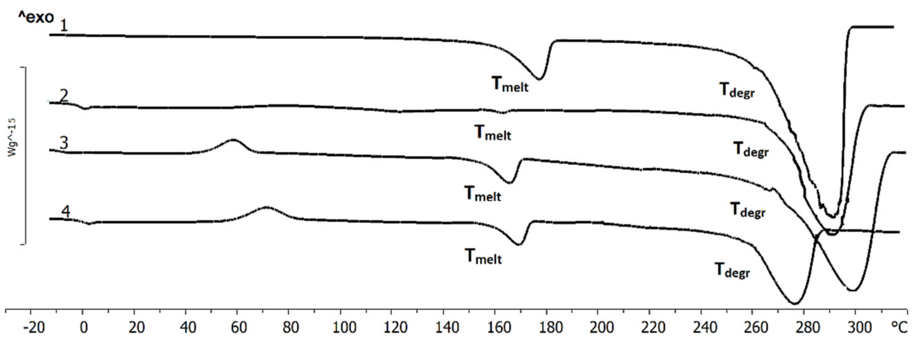 Polymers 13 01553 g003