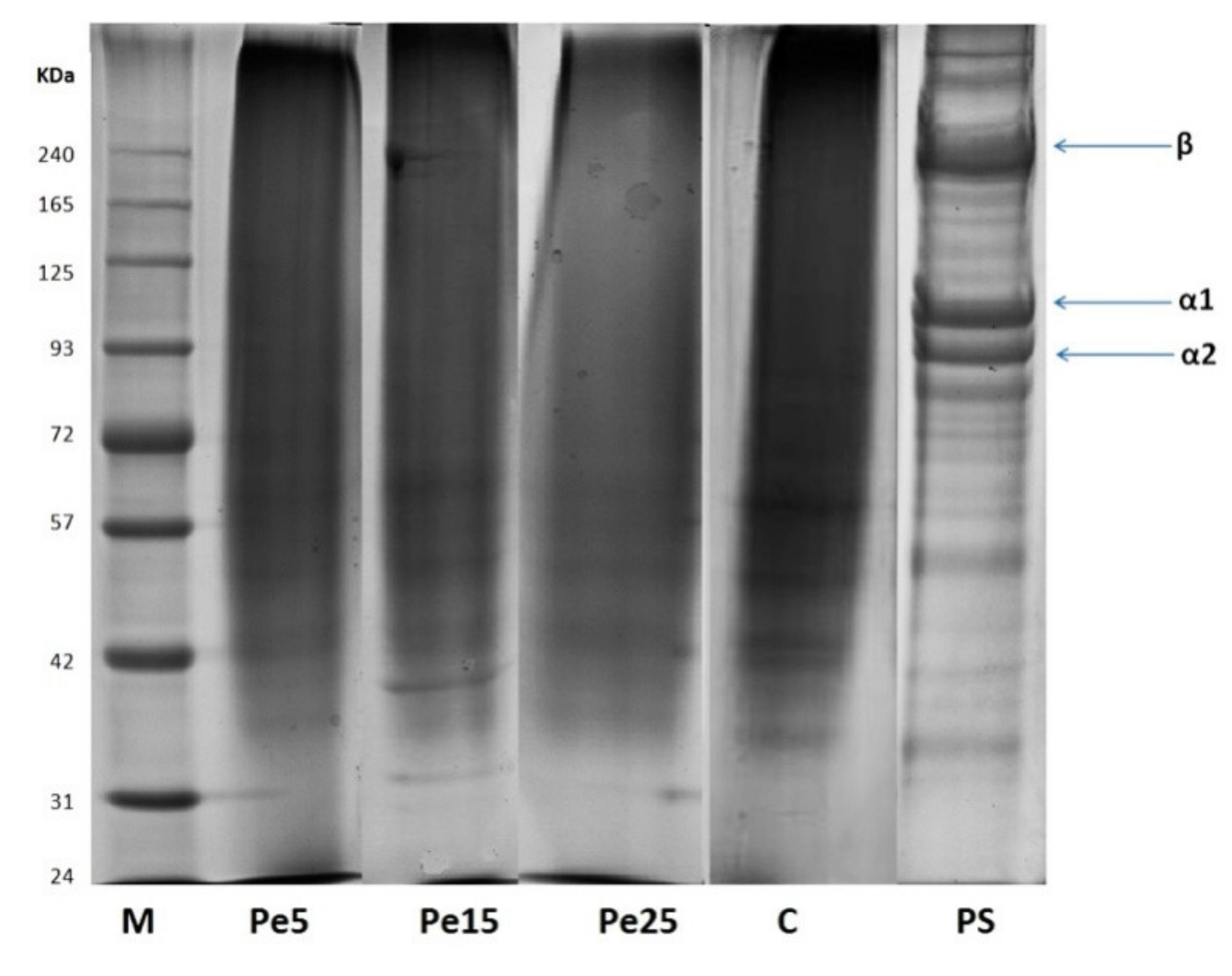 Polymers 13 01554 g001
