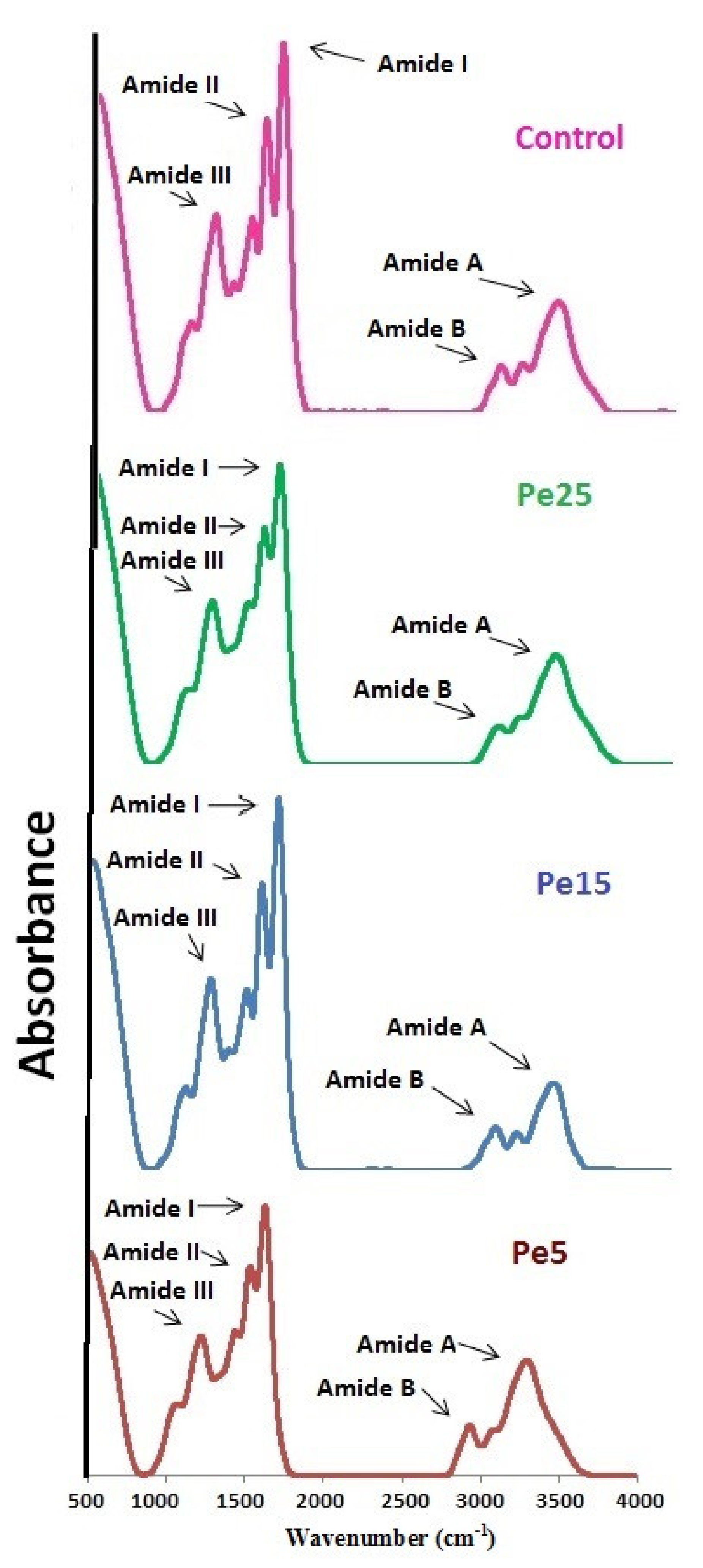Polymers 13 01554 g004