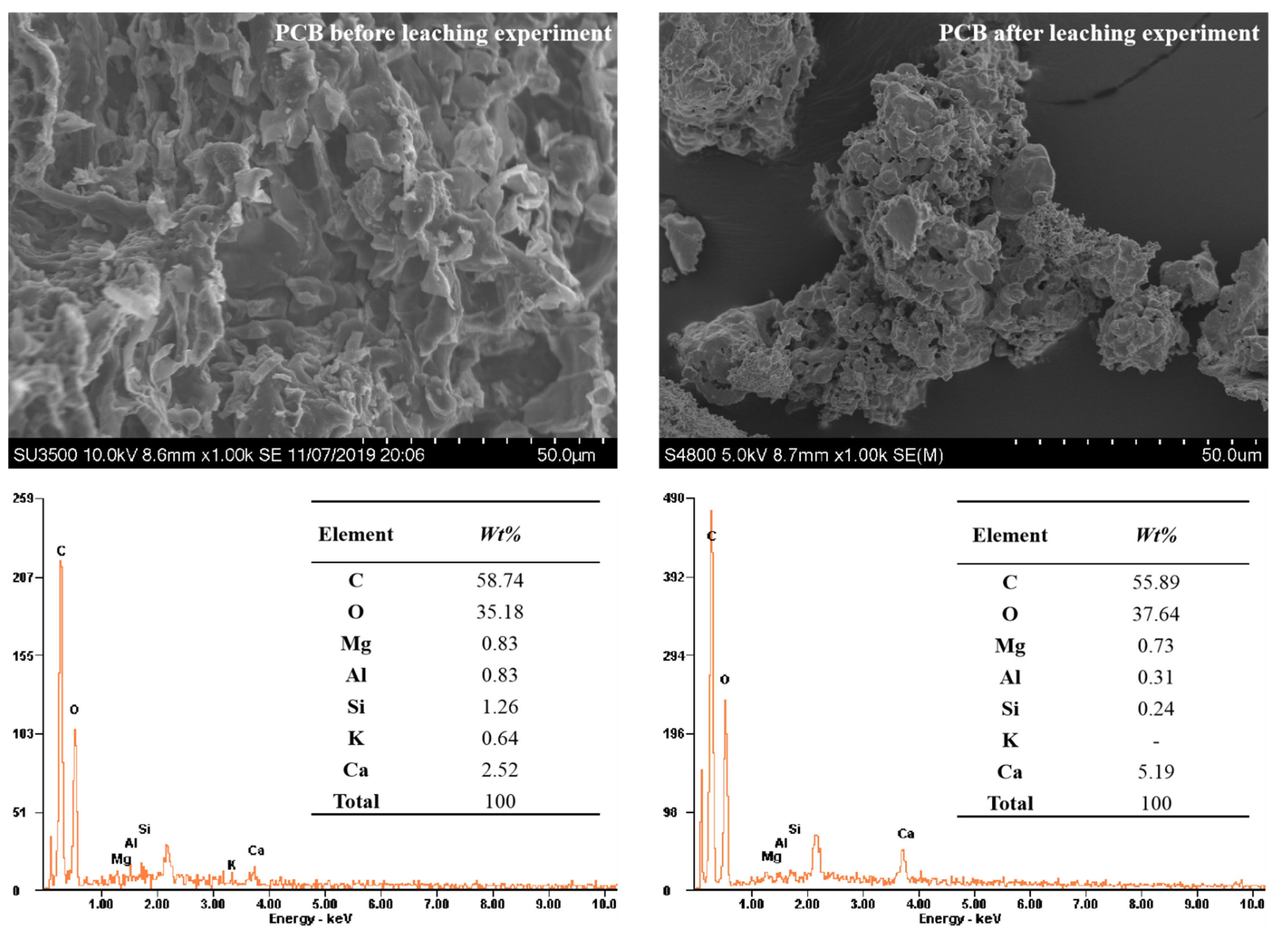 Polymers 13 01557 g002