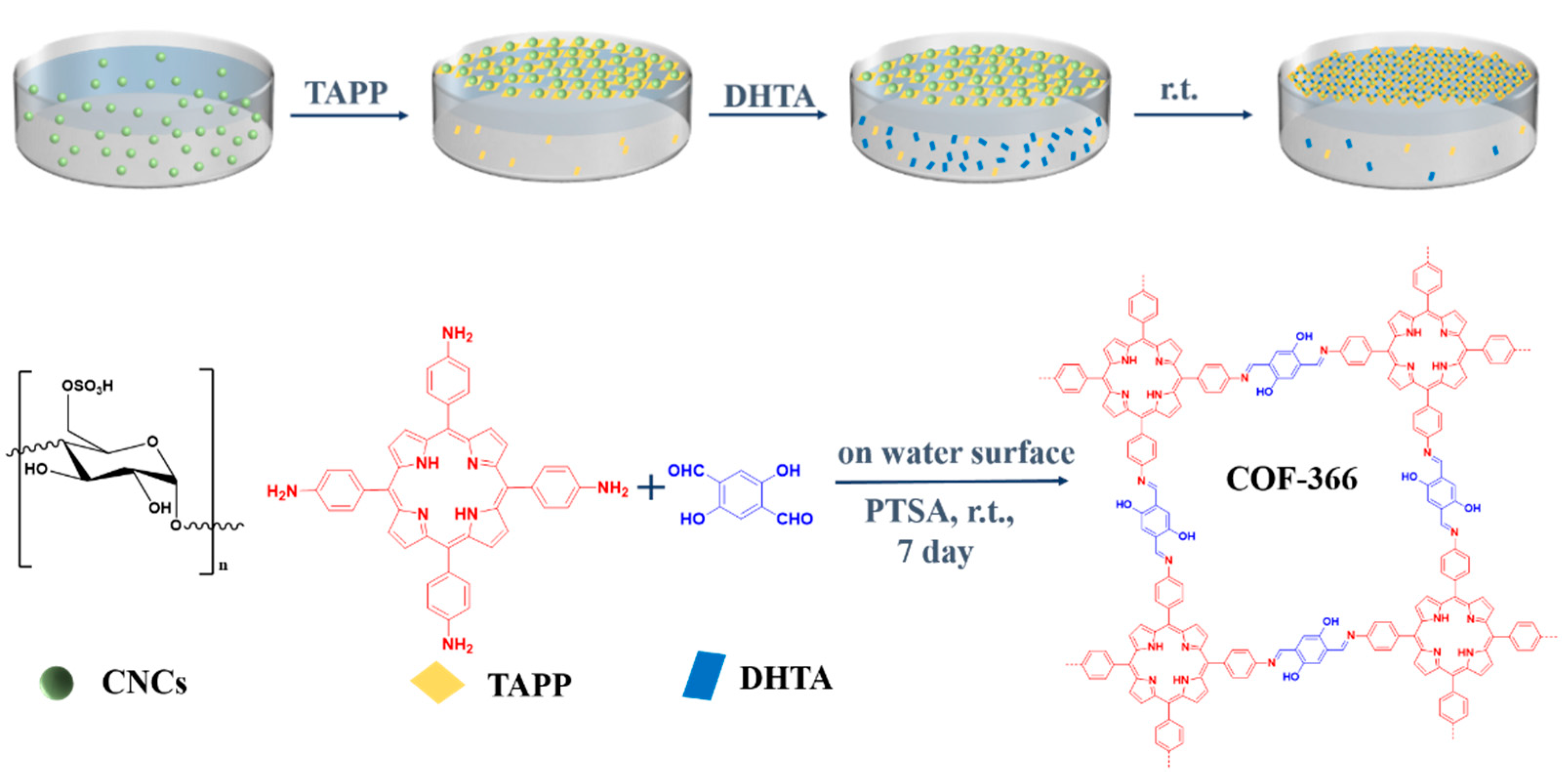Polymers 13 01561 g001 Polymers 13 01561 g001