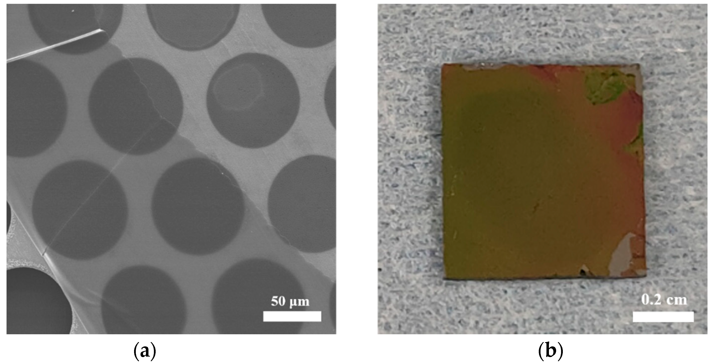 Polymers 13 01561 g002 Polymers 13 01561 g002