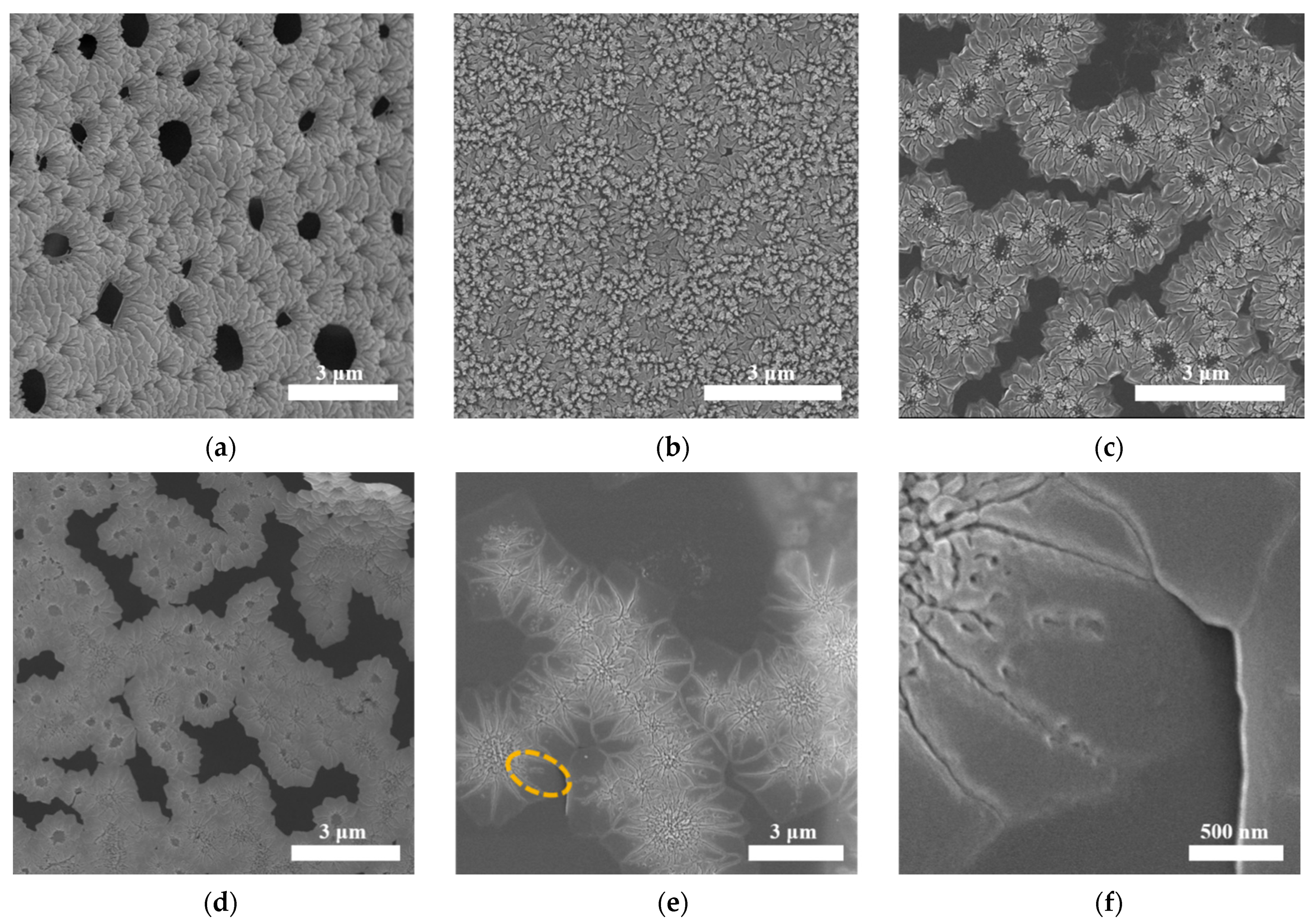Polymers 13 01561 g004 Polymers 13 01561 g004