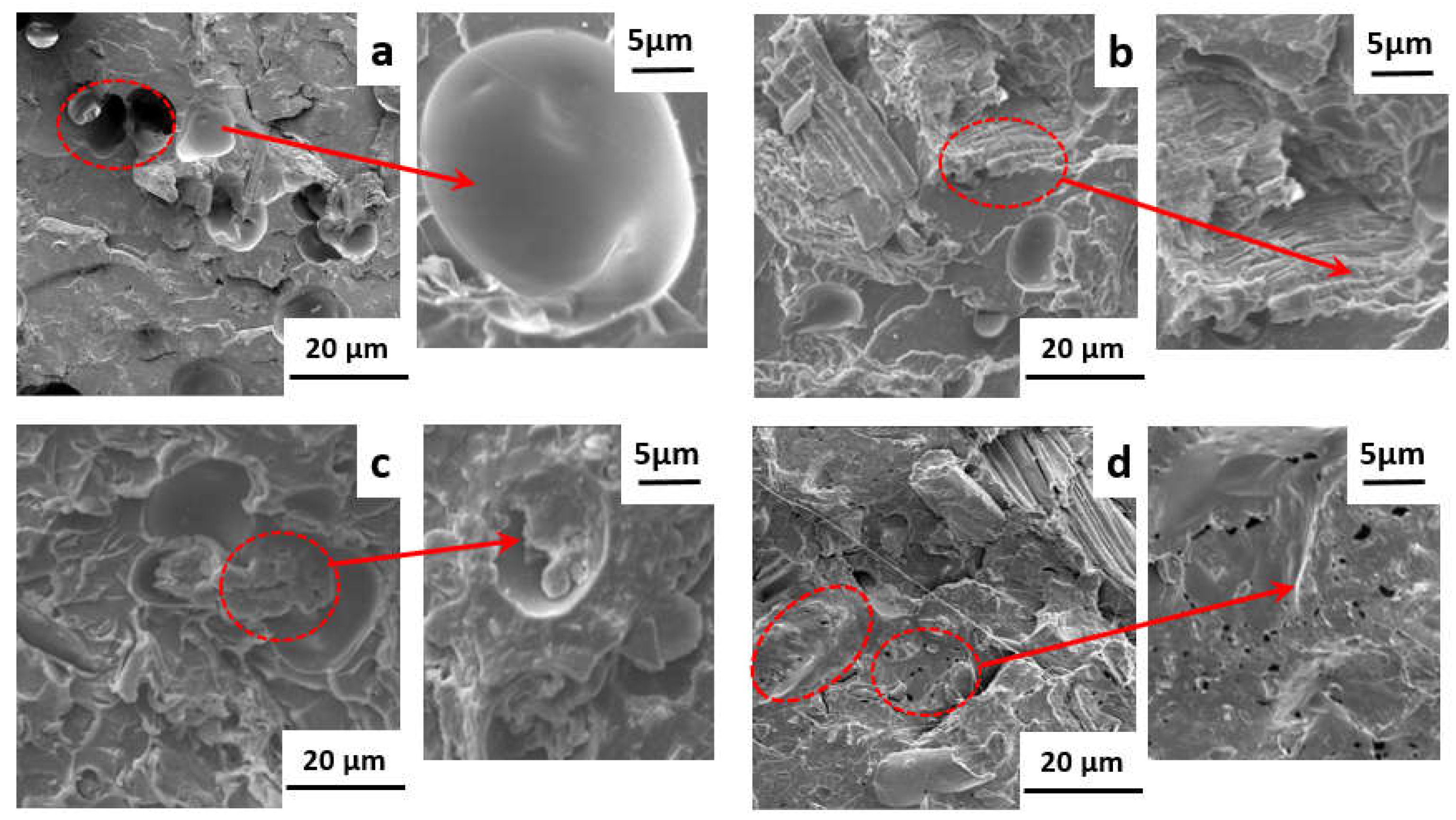 Polymers 13 01562 g005 Polymers 13 01562 g005