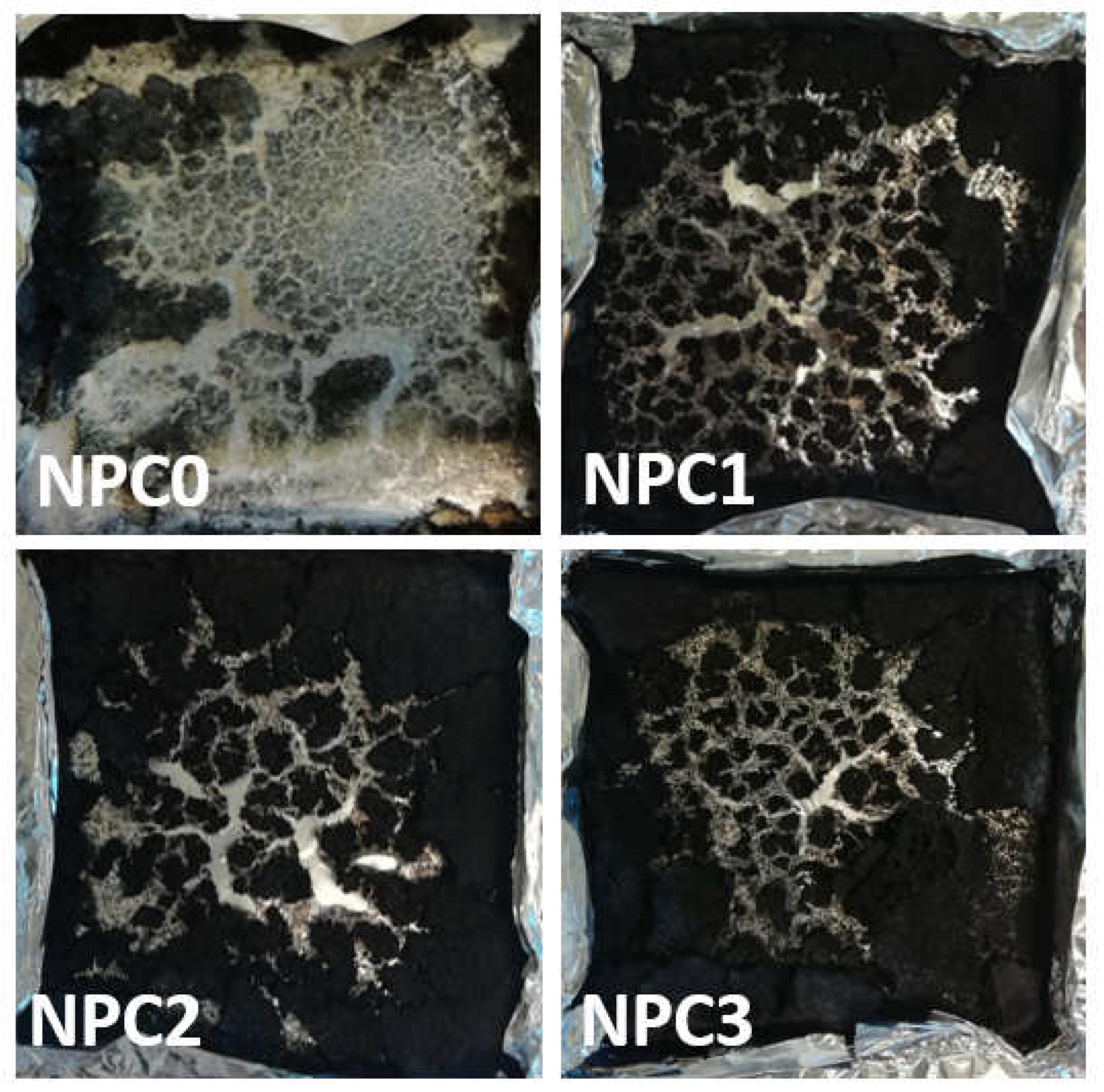 Polymers 13 01562 g010 Polymers 13 01562 g010