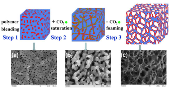 Improve Polyurethane Foam Cell Structure with Gas Nucleation