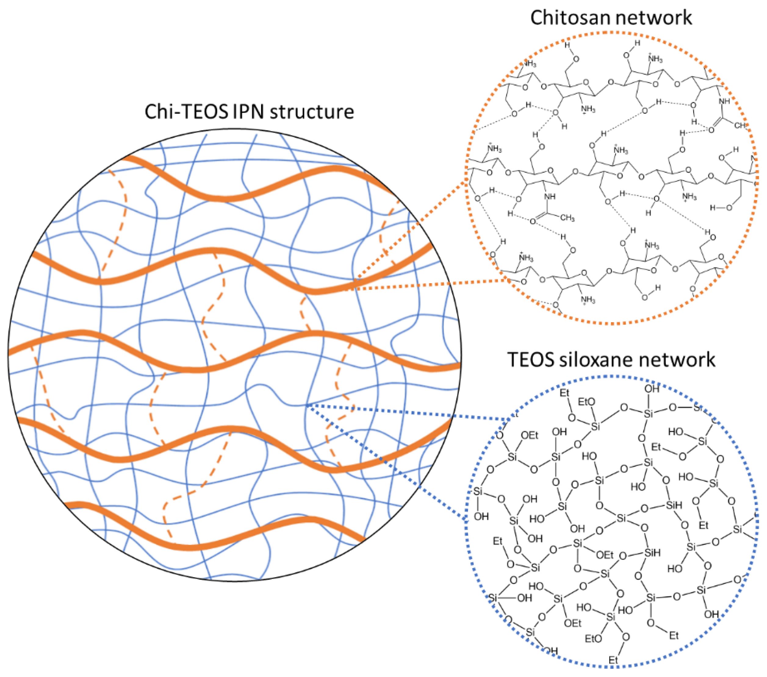 Polymers 13 01566 g004