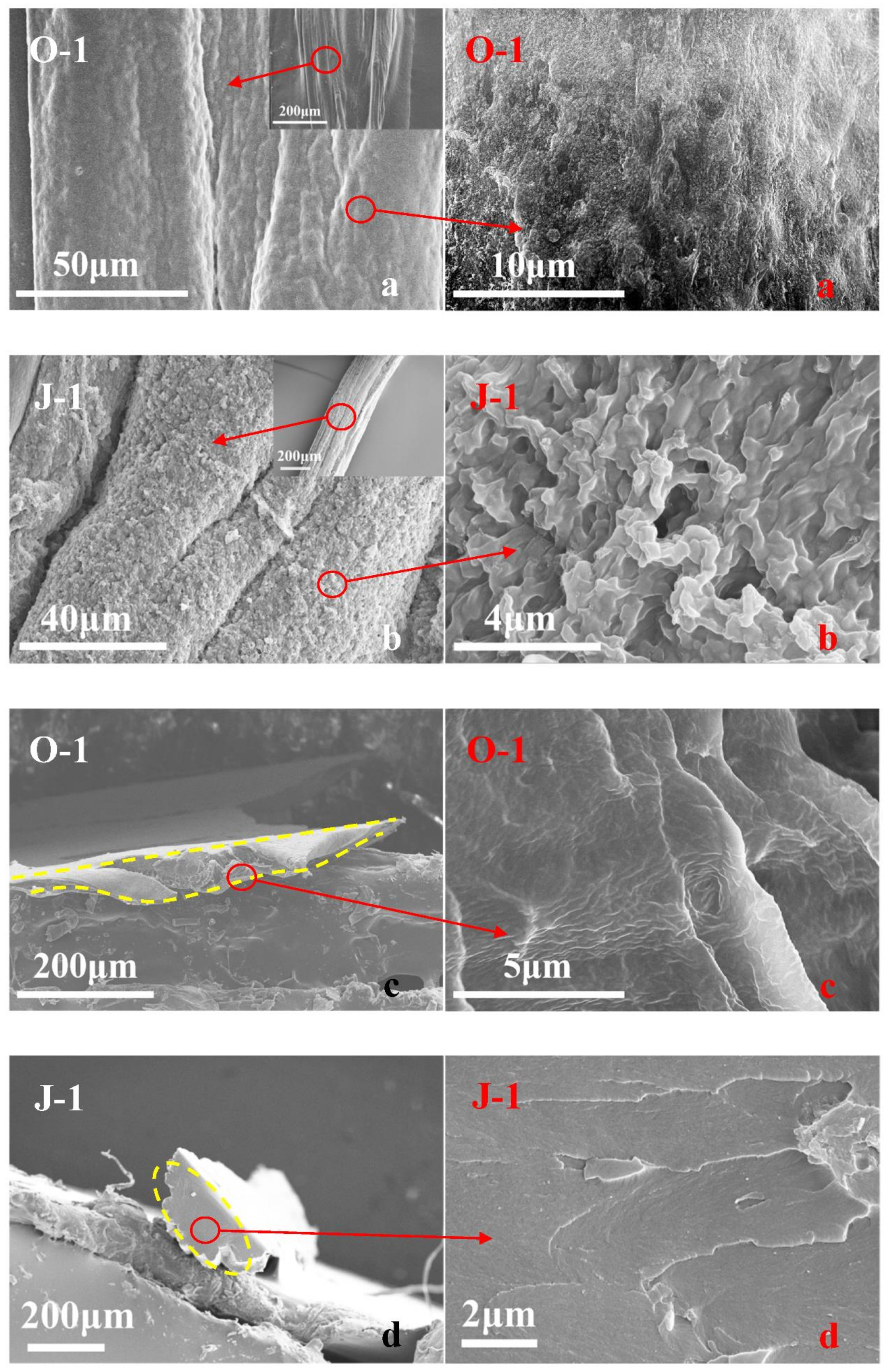 Polymers 13 01570 g003