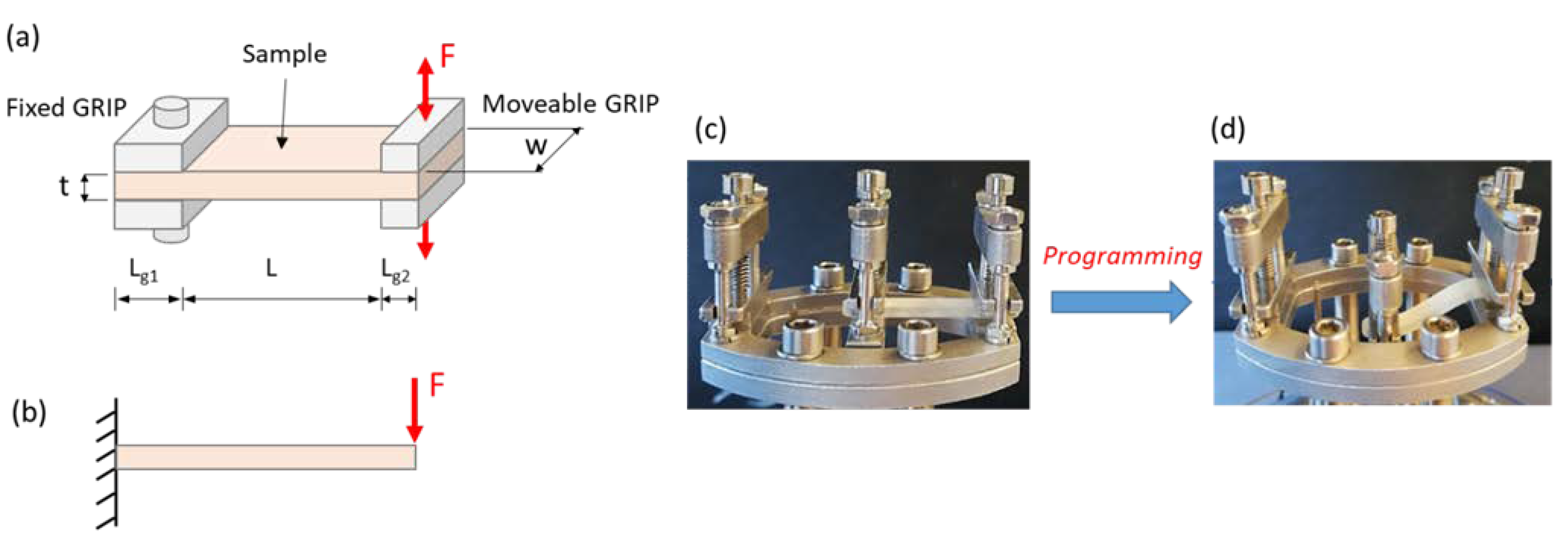 Polymers 13 01571 g001
