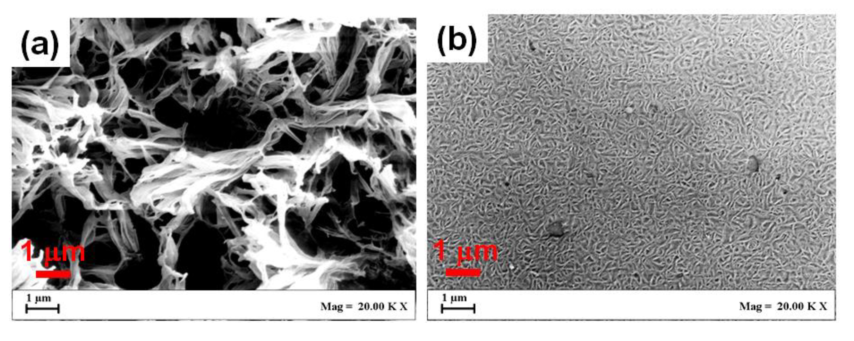 Polymers 13 01572 g005 550