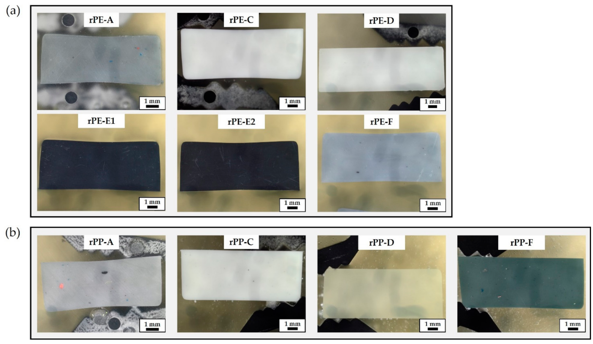 Polymers 13 01574 g003