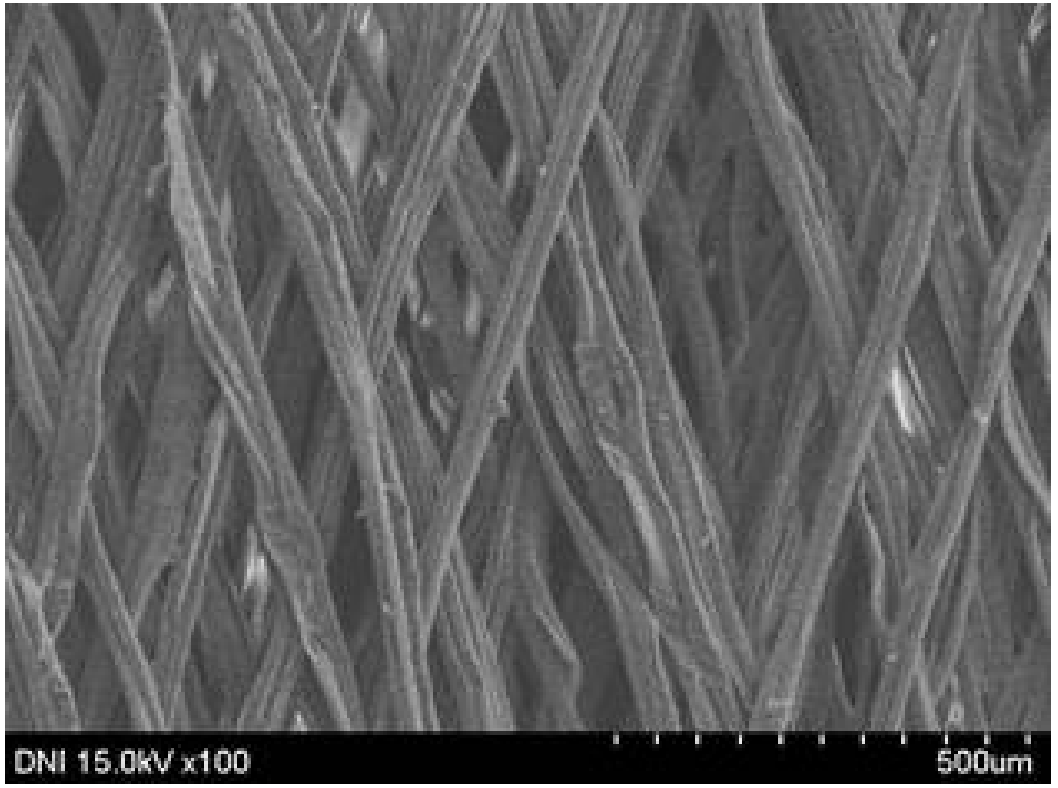 Polymers 13 01578 i023