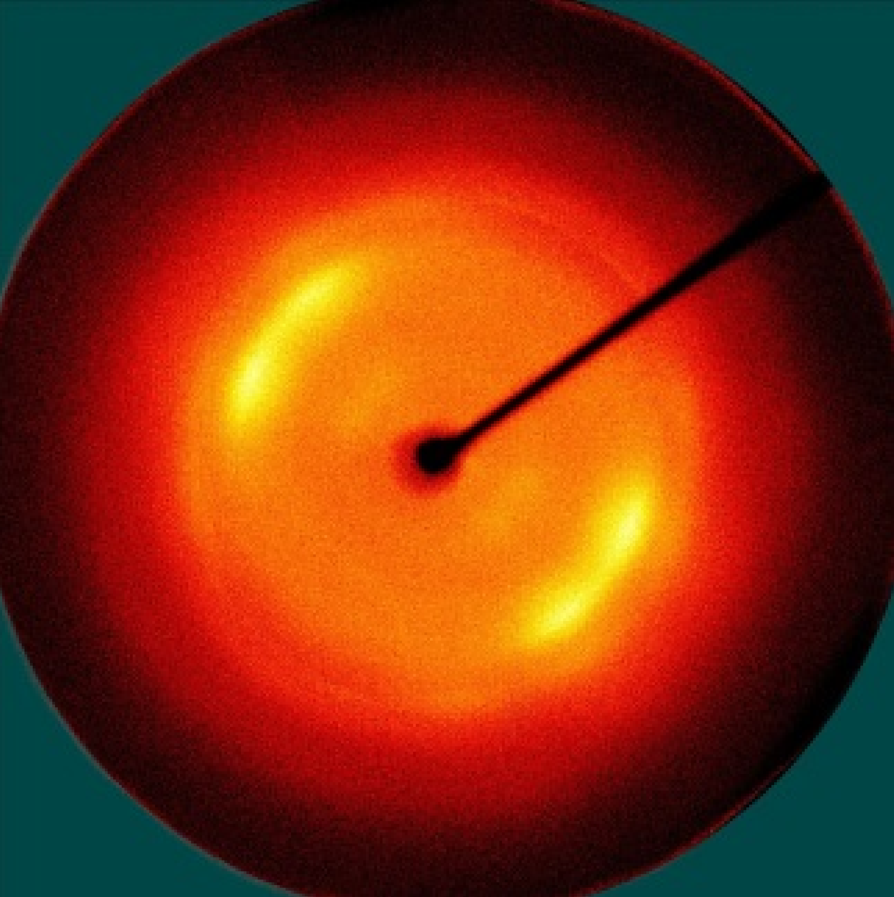 Polymers 13 01578 i029