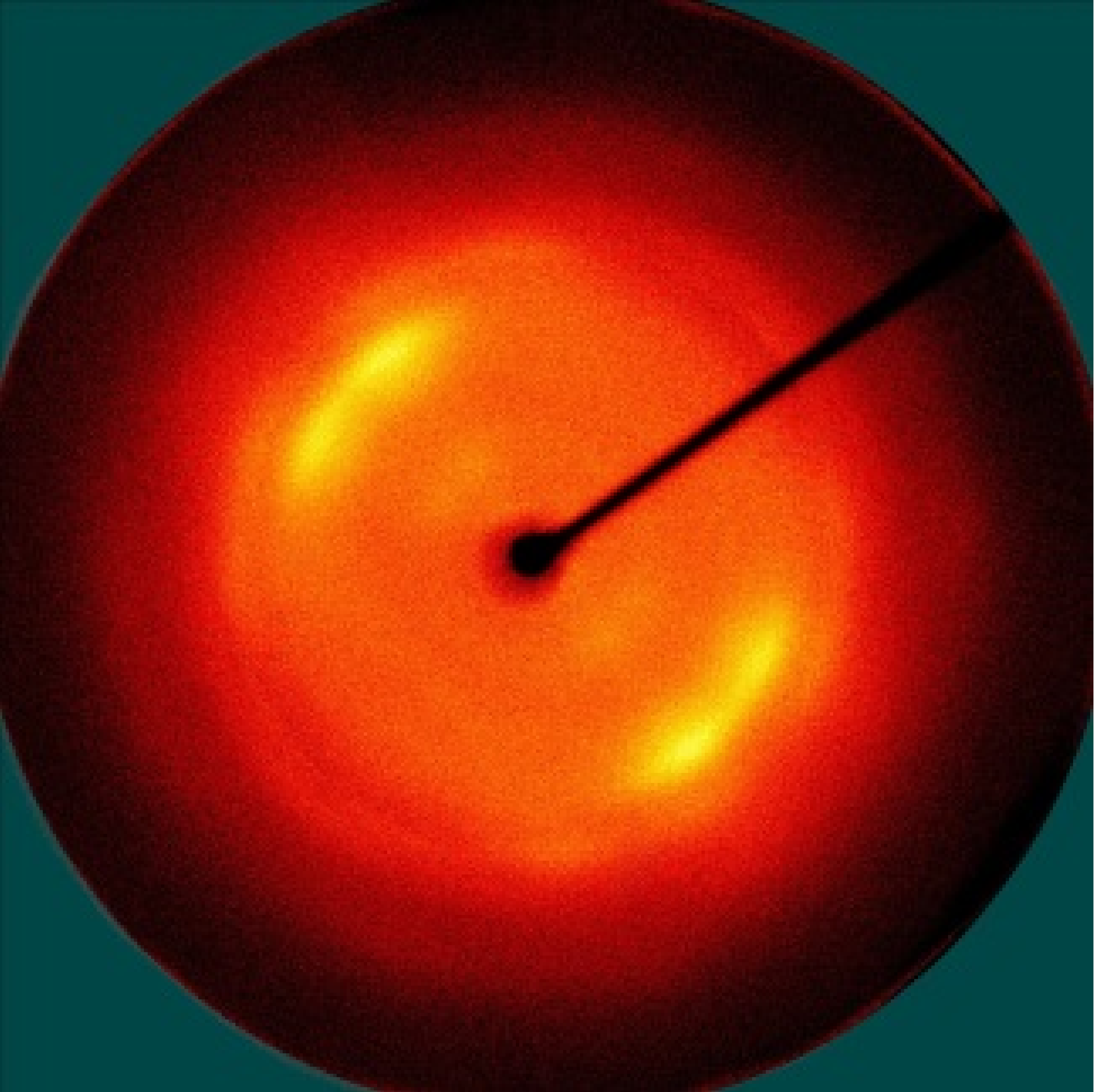 Polymers 13 01578 i031