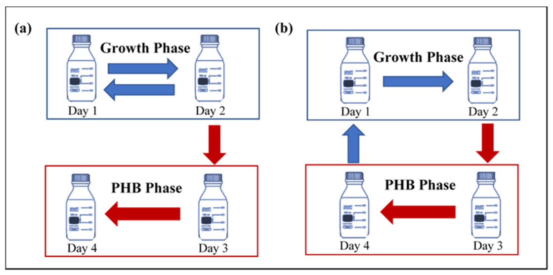 Polymers 13 01579 g001