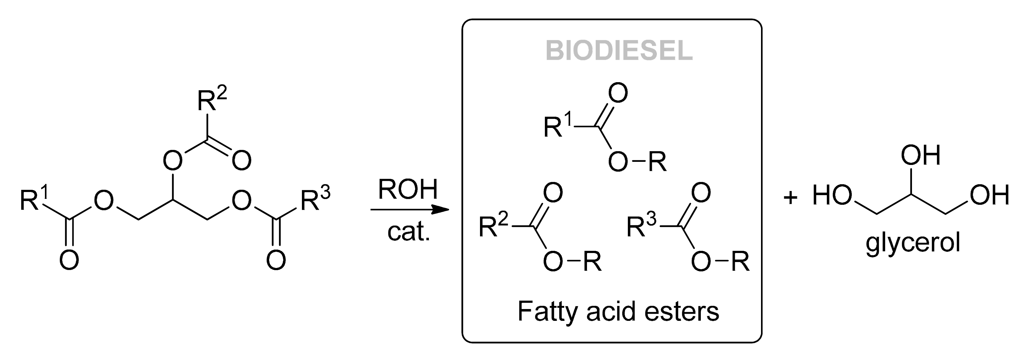 Polymers 13 01580 g002