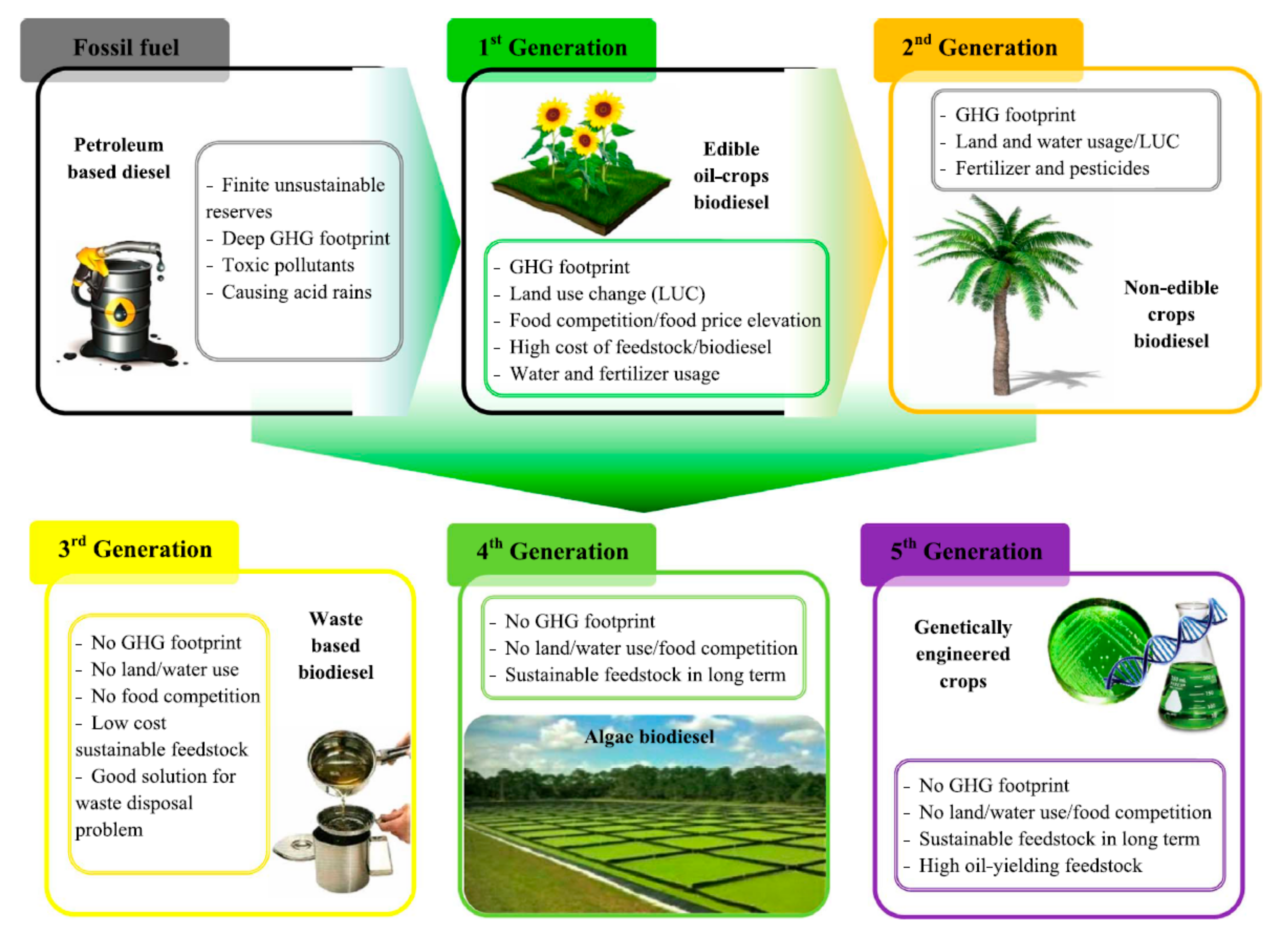 Polymers 13 01580 g005