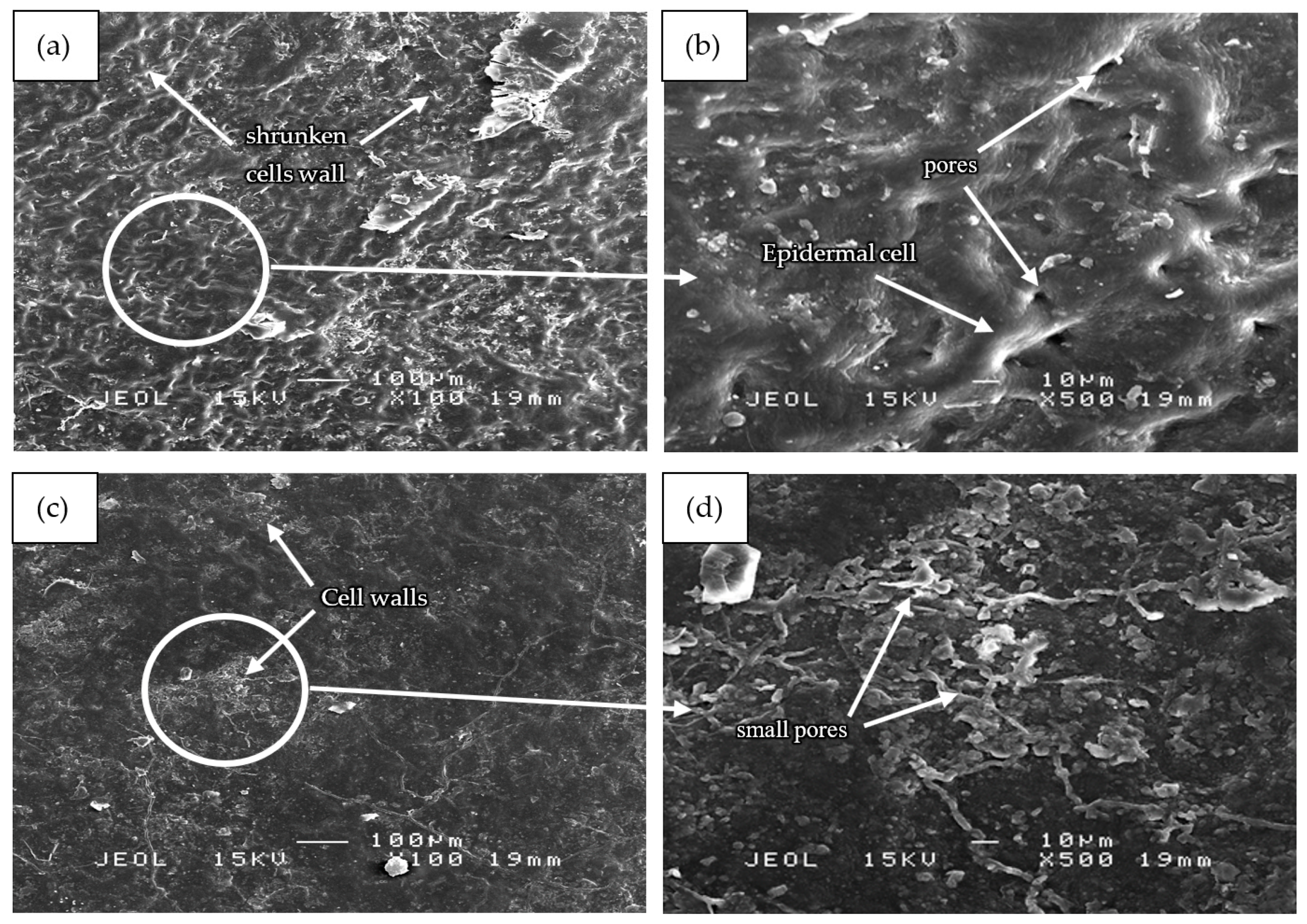 Polymers 13 01581 g006a Polymers 13 01581 g006a