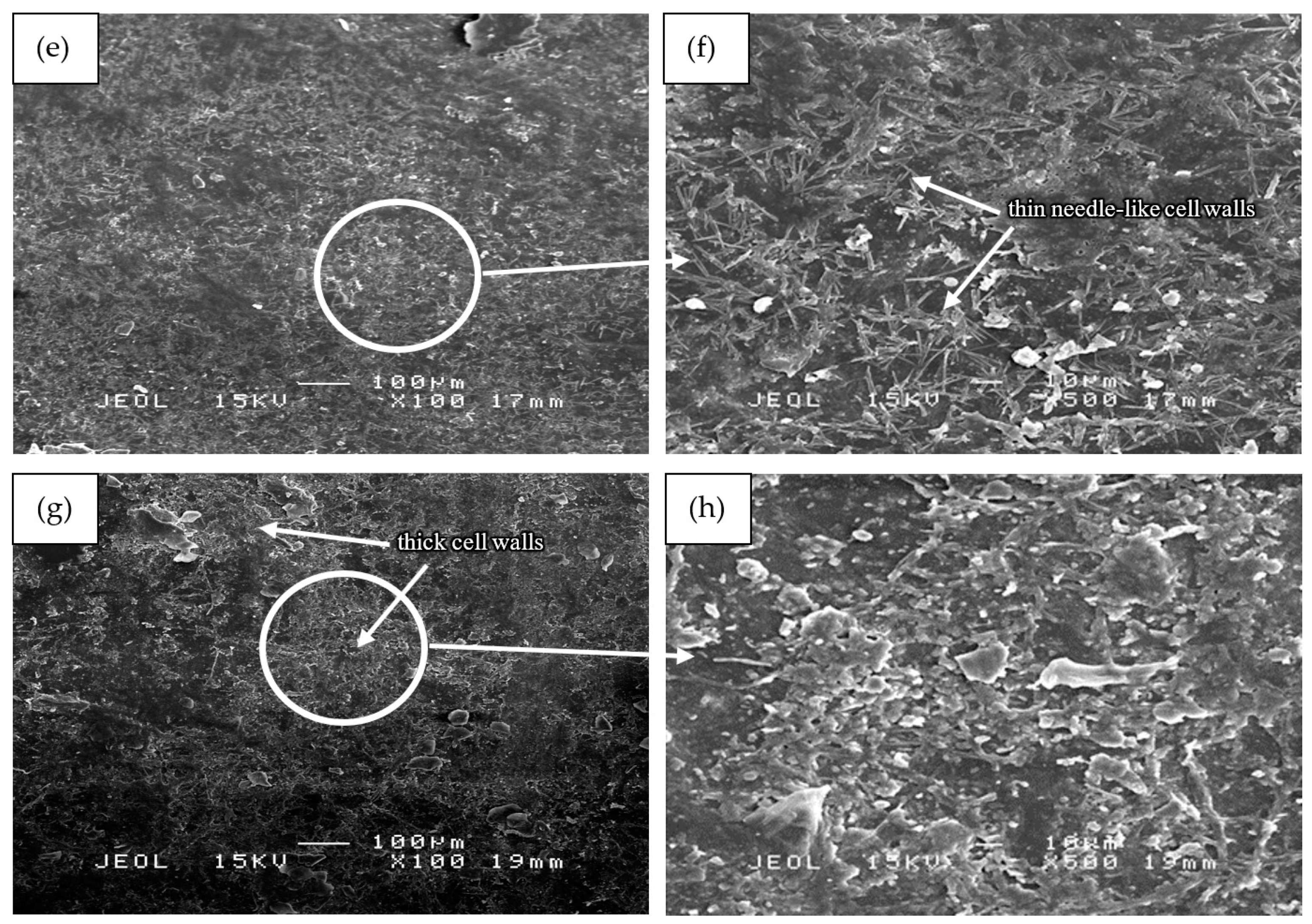 Polymers 13 01581 g006b Polymers 13 01581 g006b